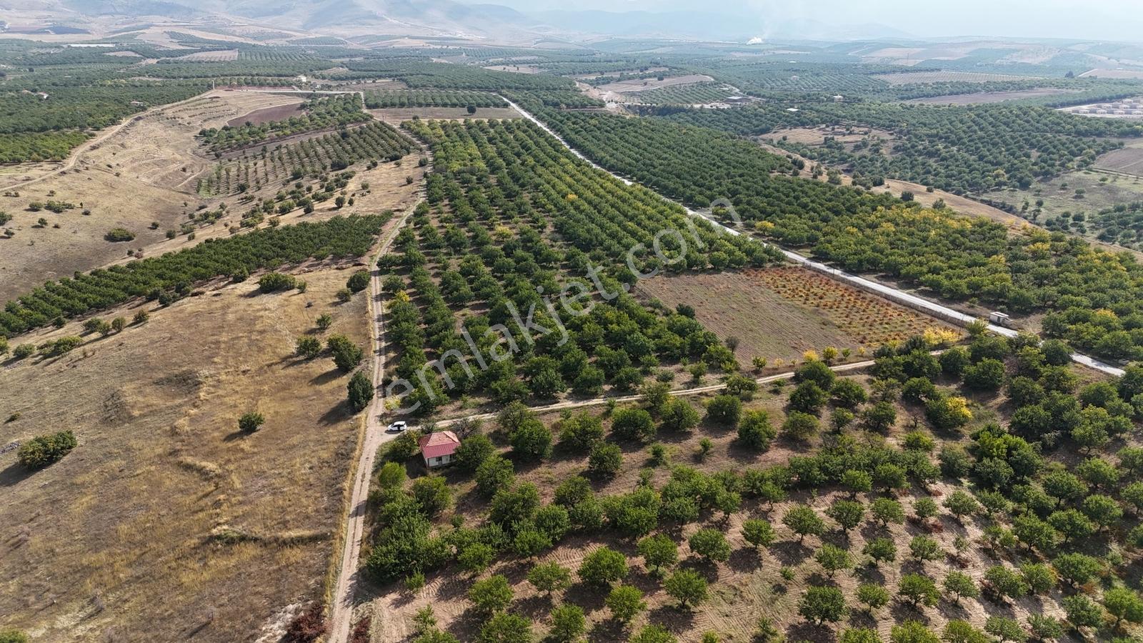Canbay Yapı'dan Örnek Köyde 9.000 M2 Satılık Tarla Ve 1+1 Ev — fotoğraf 4