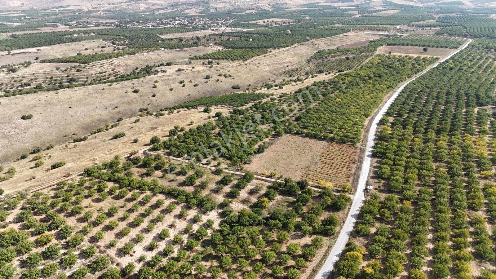 Canbay Yapı'dan Örnek Köyde 9.000 M2 Satılık Tarla Ve 1+1 Ev — fotoğraf 5
