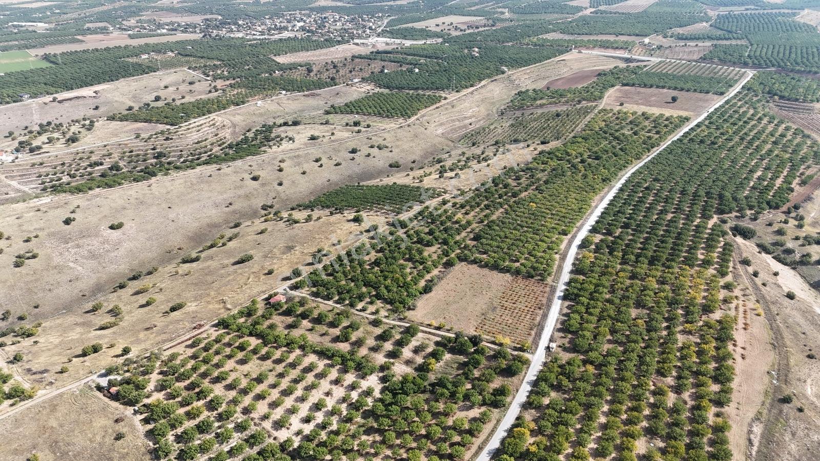 Canbay Yapı'dan Örnek Köyde 9.000 M2 Satılık Tarla Ve 1+1 Ev — fotoğraf 6