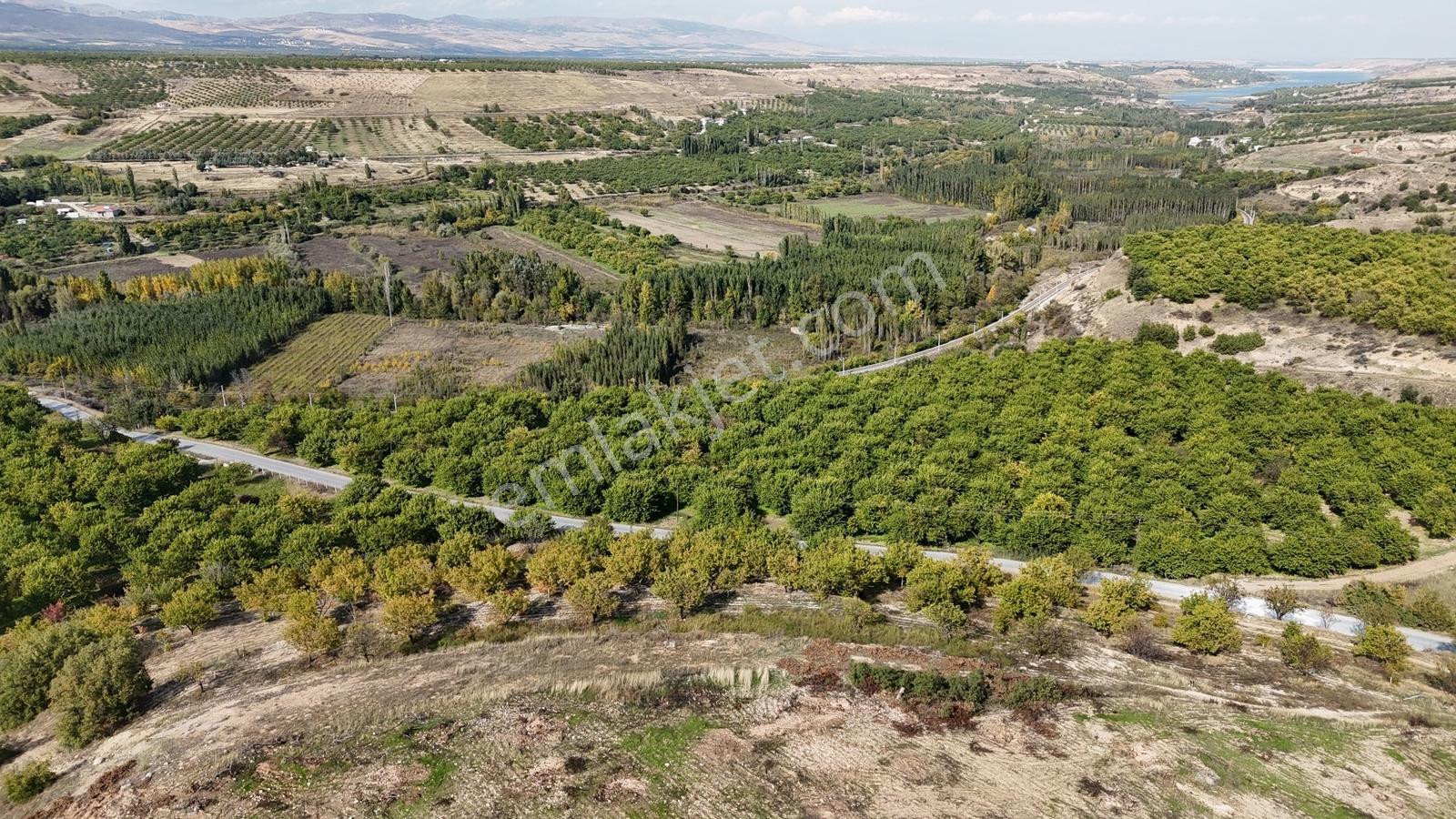 Canbay Yapı'dan Örnek Köyde 9.000 M2 Satılık Tarla Ve 1+1 Ev — fotoğraf 7