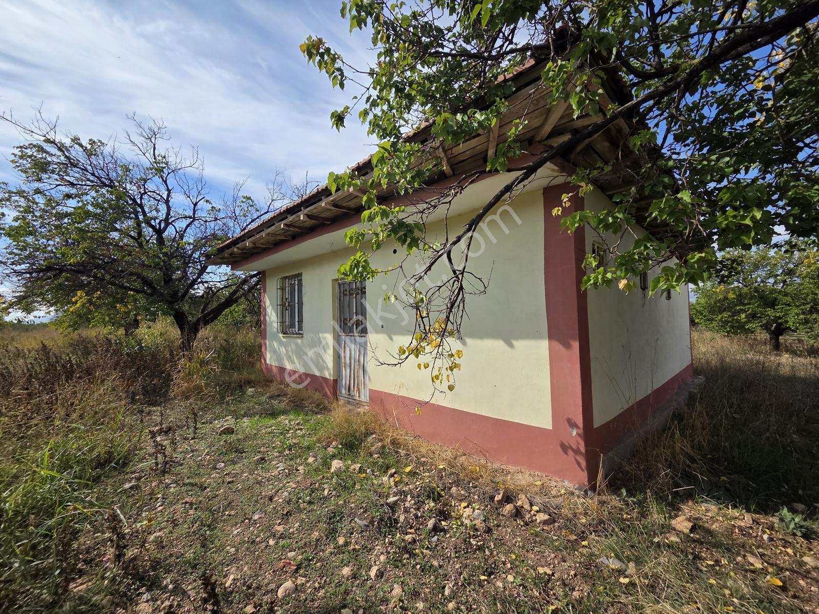 Canbay Yapı'dan Örnek Köyde 9.000 M2 Satılık Tarla Ve 1+1 Ev — fotoğraf 10