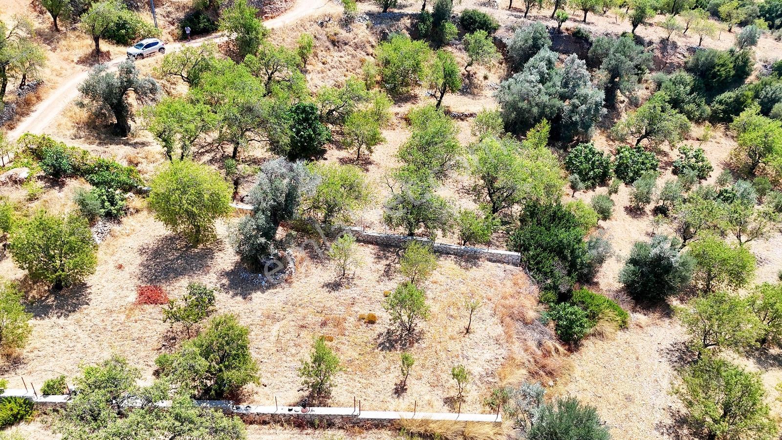 Datça Satılık İmarlı Arsa 864 M² 20/40 İmarlı Cumalı'da — fotoğraf 4