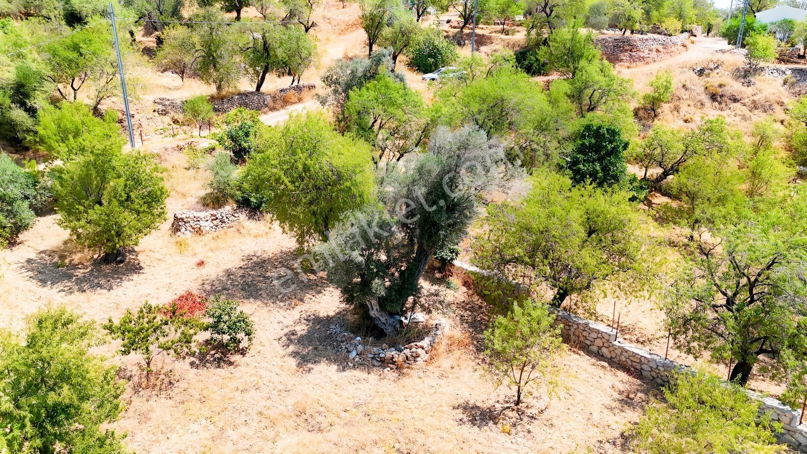 Datça Satılık İmarlı Arsa 864 M² 20/40 İmarlı Cumalı'da — fotoğraf 5