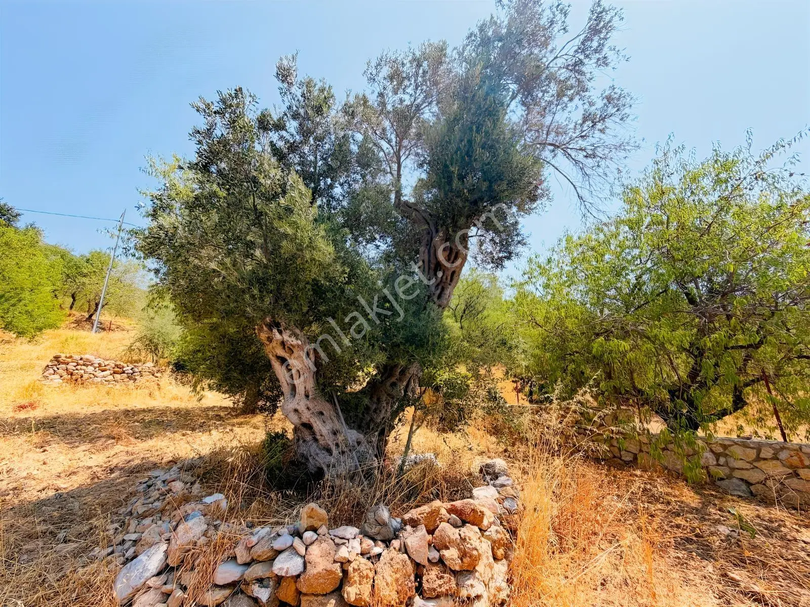 Datça Satılık İmarlı Arsa 864 M² 20/40 İmarlı Cumalı'da — fotoğraf 11