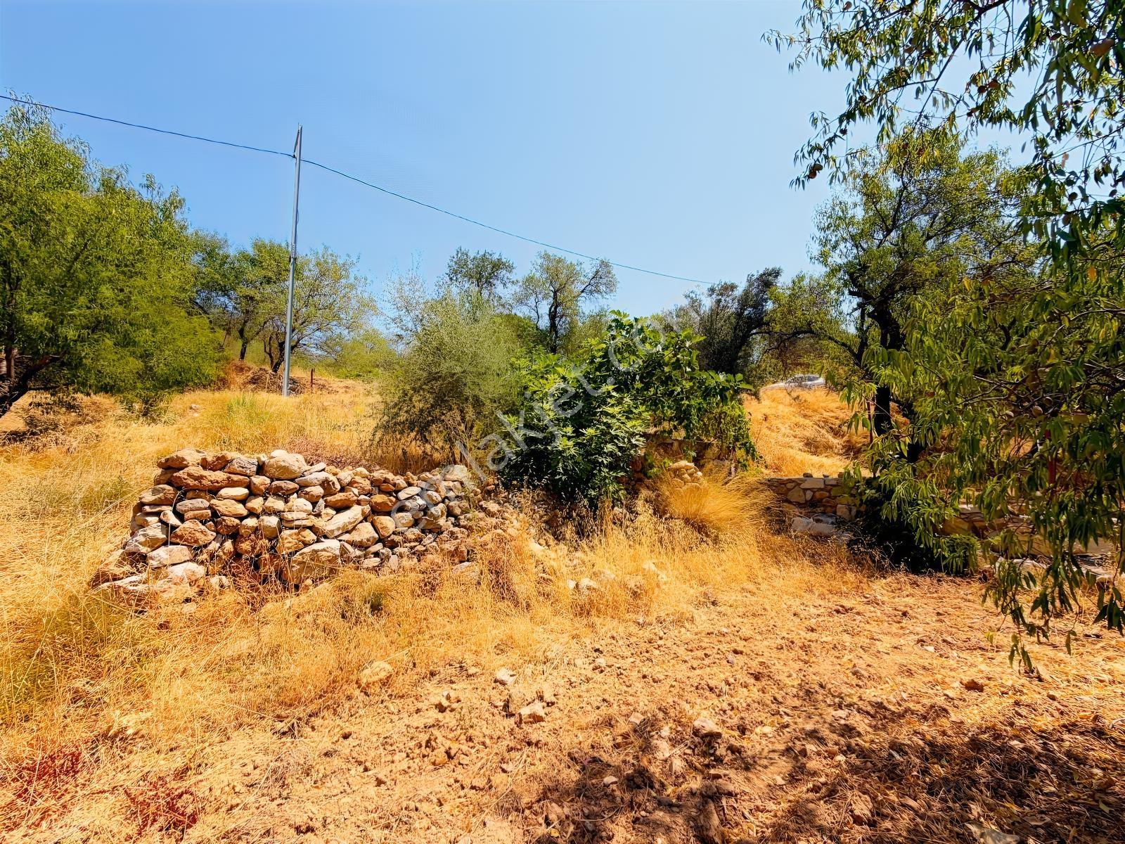Datça Satılık İmarlı Arsa 864 M² 20/40 İmarlı Cumalı'da — fotoğraf 17