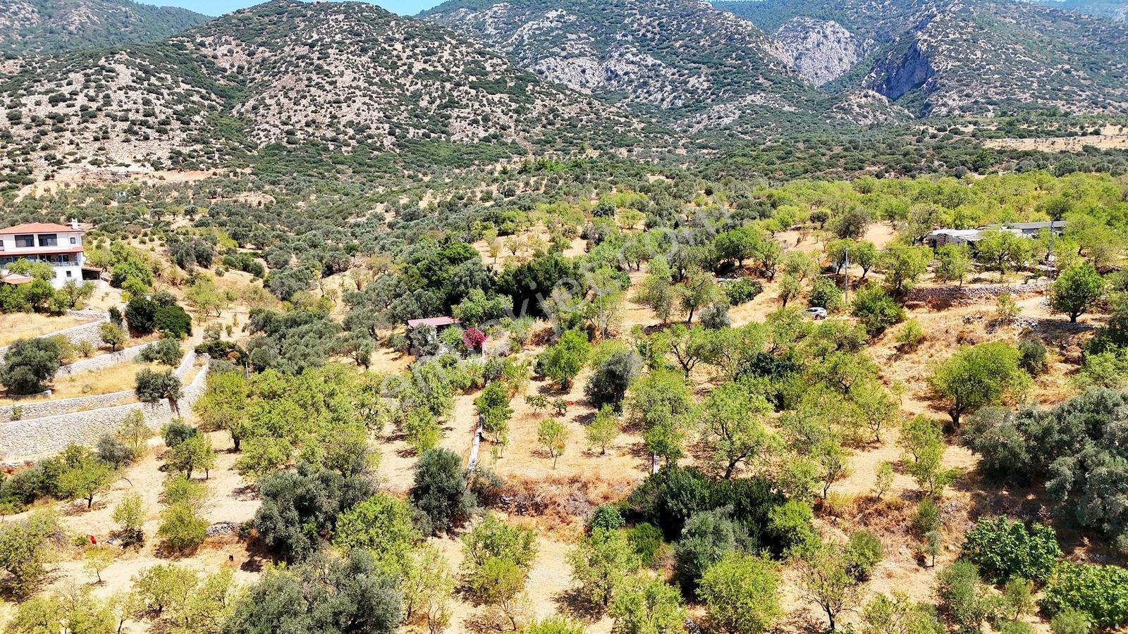 Datça Satılık İmarlı Arsa 864 M² 20/40 İmarlı Cumalı'da — fotoğraf 23