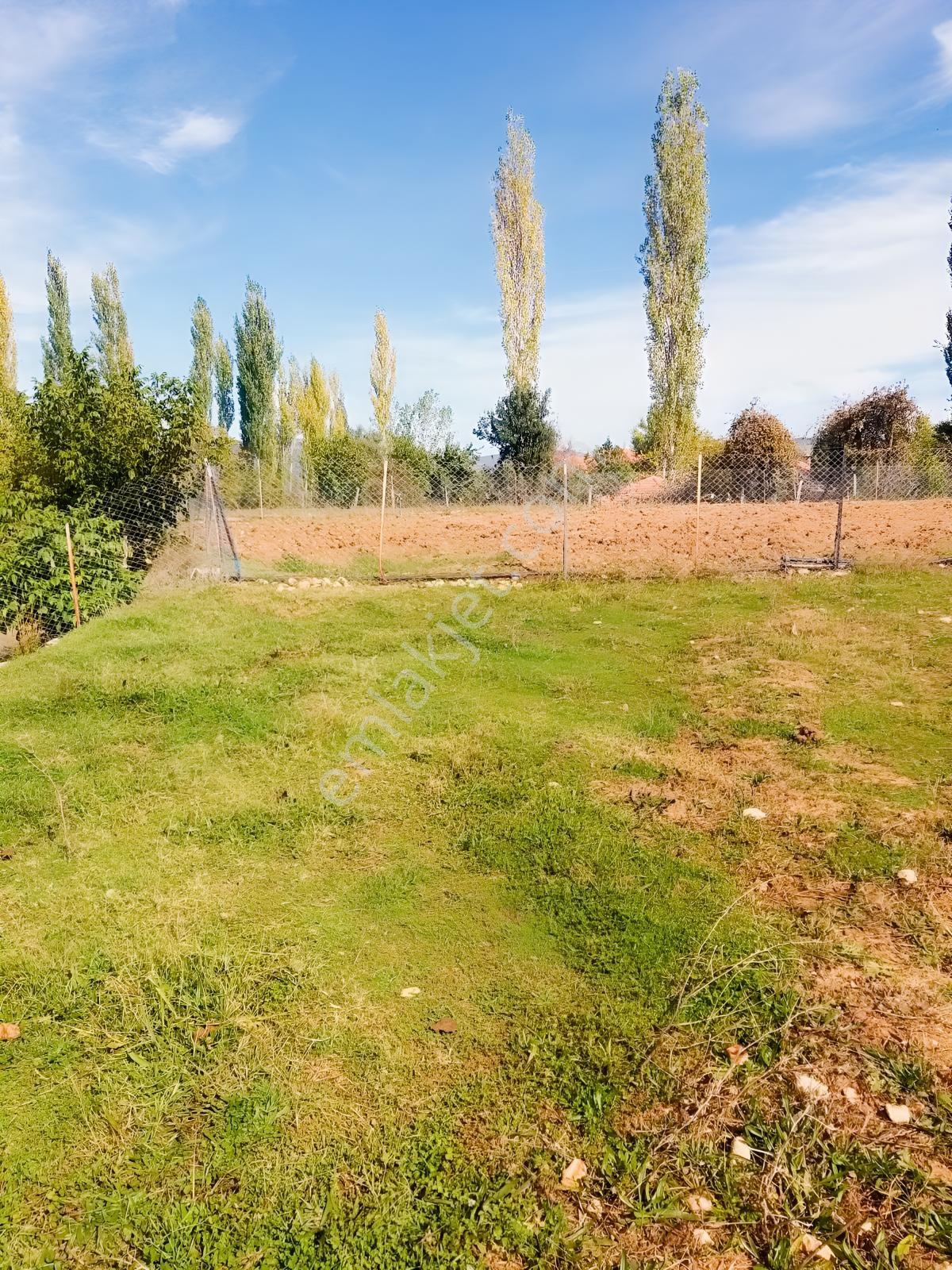 Y. Ceylan 2112 M2 Köy Yerleşik Alan İçi 250M2 İnşaat Hakkı Var