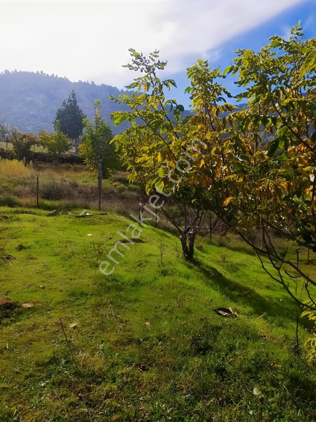 Y. Ceylan 2112 M2 Köy Yerleşik Alan İçi 250m2 İnşaat Hakkı Var — fotoğraf 2