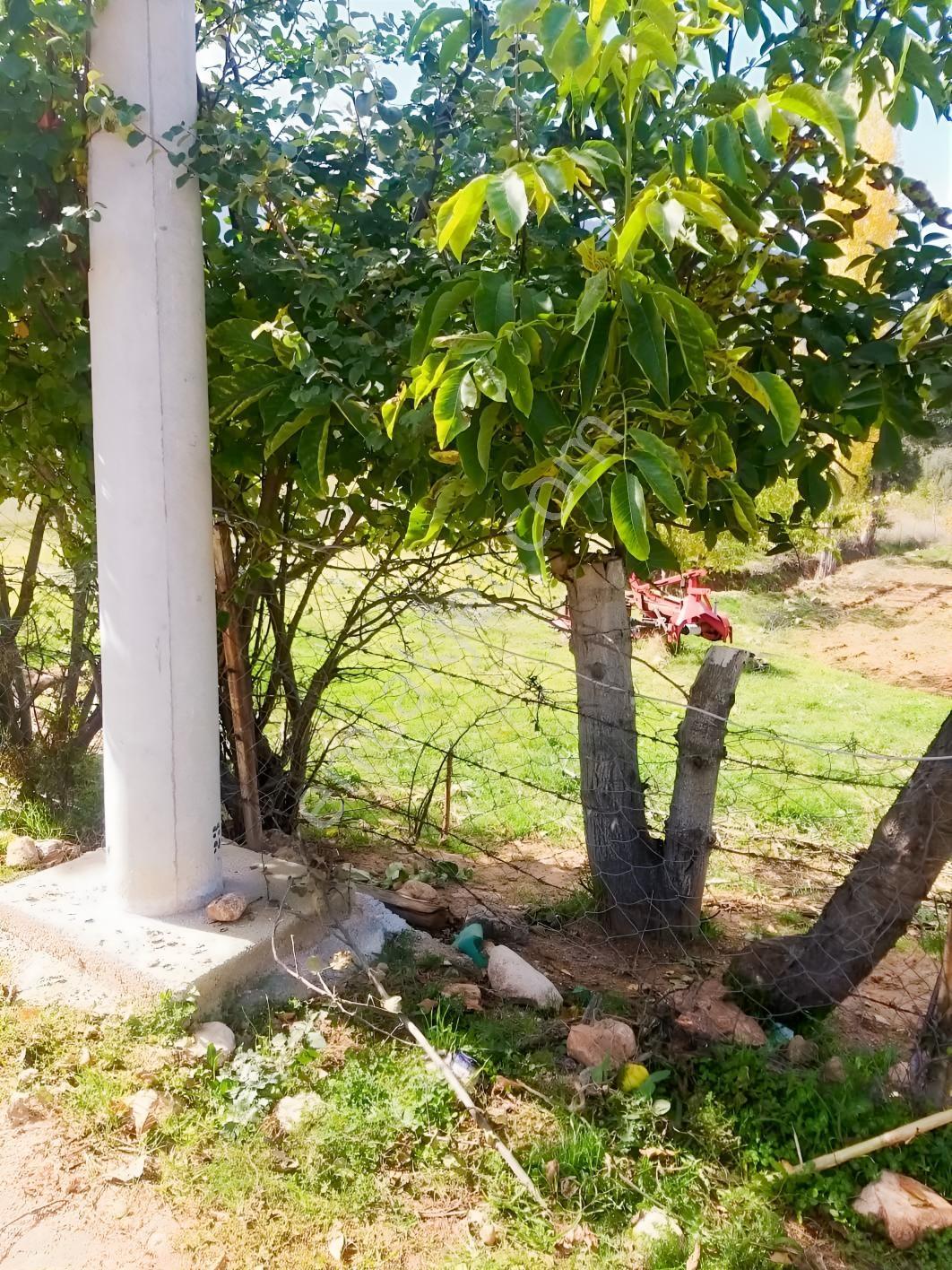 Y. Ceylan 2112 M2 Köy Yerleşik Alan İçi 250m2 İnşaat Hakkı Var — fotoğraf 3