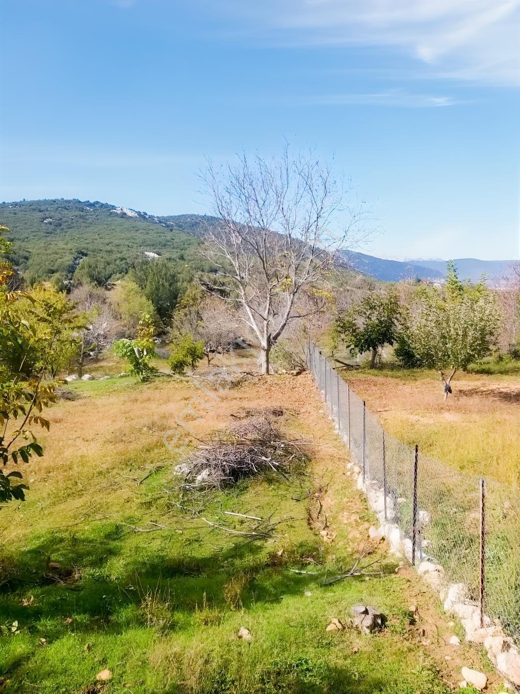 Y. Ceylan 2112 M2 Köy Yerleşik Alan İçi 250m2 İnşaat Hakkı Var — fotoğraf 4