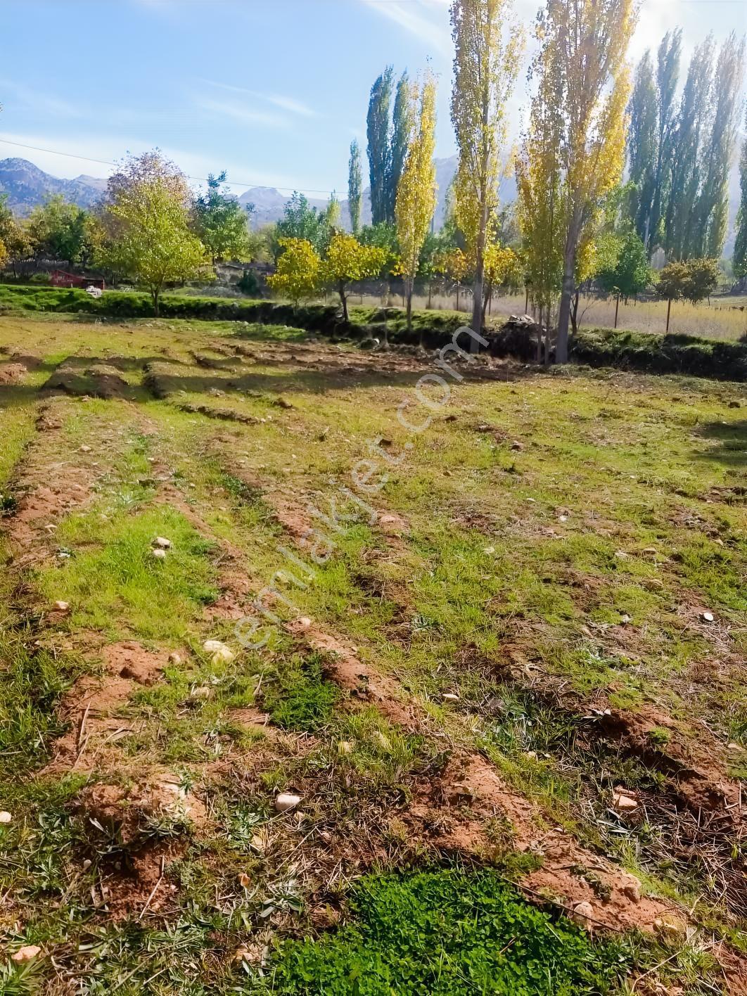 Y. Ceylan 2112 M2 Köy Yerleşik Alan İçi 250m2 İnşaat Hakkı Var — fotoğraf 5