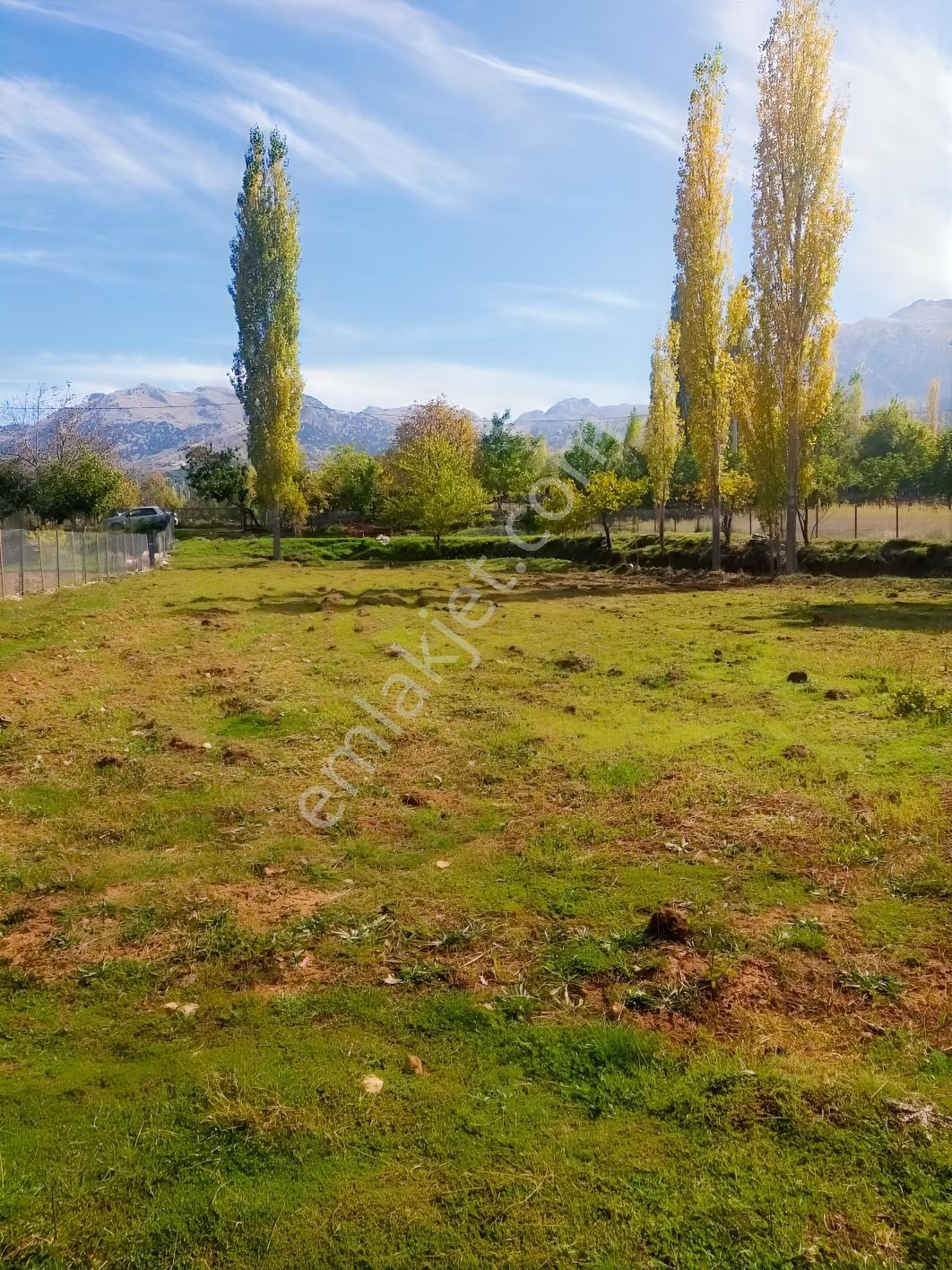 Y. Ceylan 2112 M2 Köy Yerleşik Alan İçi 250m2 İnşaat Hakkı Var — fotoğraf 6