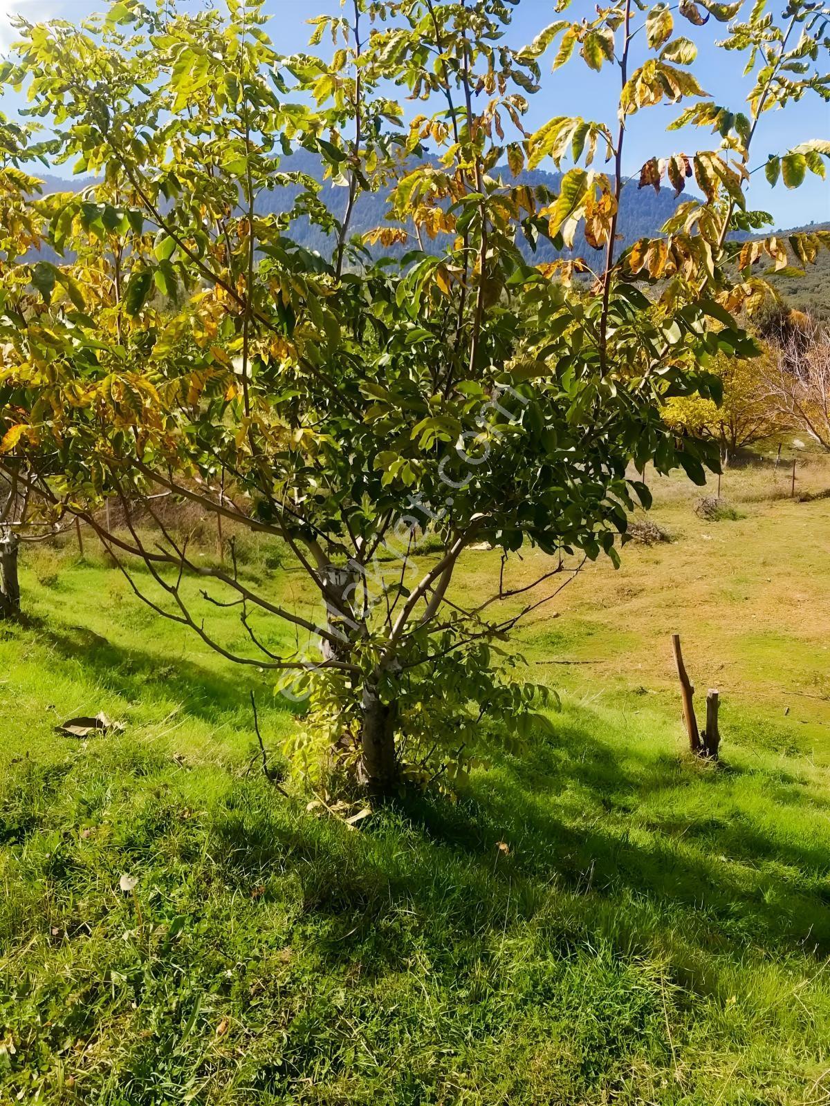 Y. Ceylan 2112 M2 Köy Yerleşik Alan İçi 250m2 İnşaat Hakkı Var — fotoğraf 9