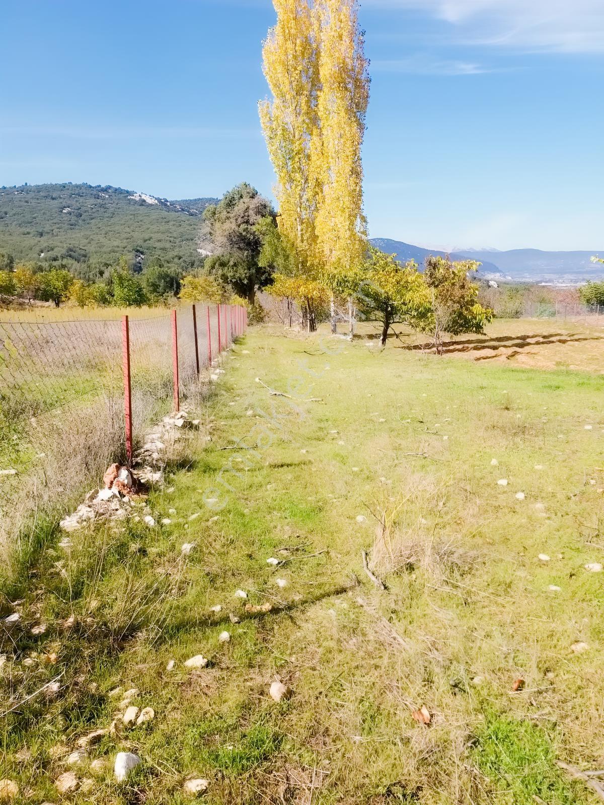 Y. Ceylan 2112 M2 Köy Yerleşik Alan İçi 250m2 İnşaat Hakkı Var — fotoğraf 10