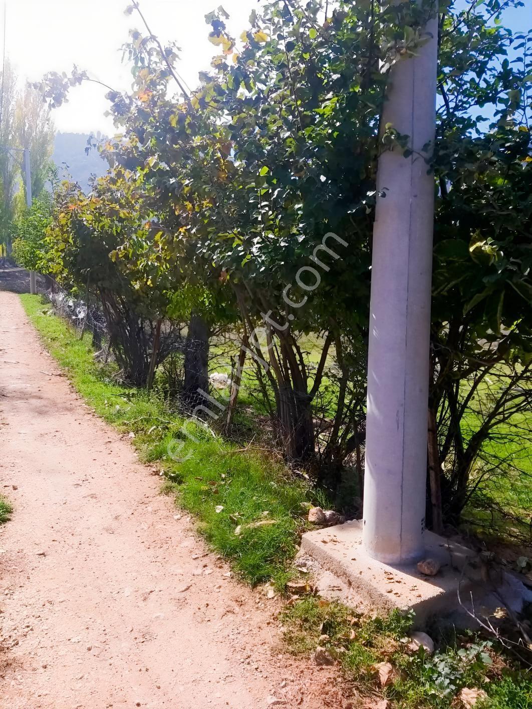 Y. Ceylan 2112 M2 Köy Yerleşik Alan İçi 250m2 İnşaat Hakkı Var — fotoğraf 24