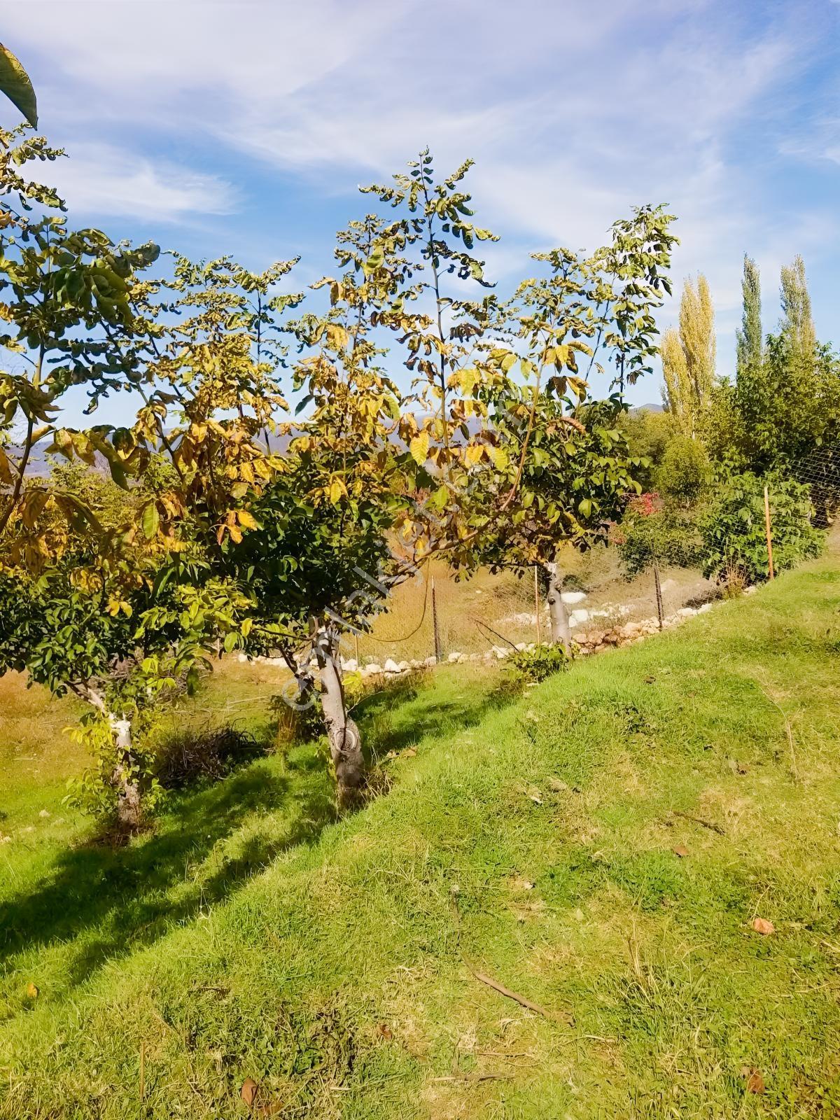 Y. Ceylan 2112 M2 Köy Yerleşik Alan İçi 250m2 İnşaat Hakkı Var — fotoğraf 25