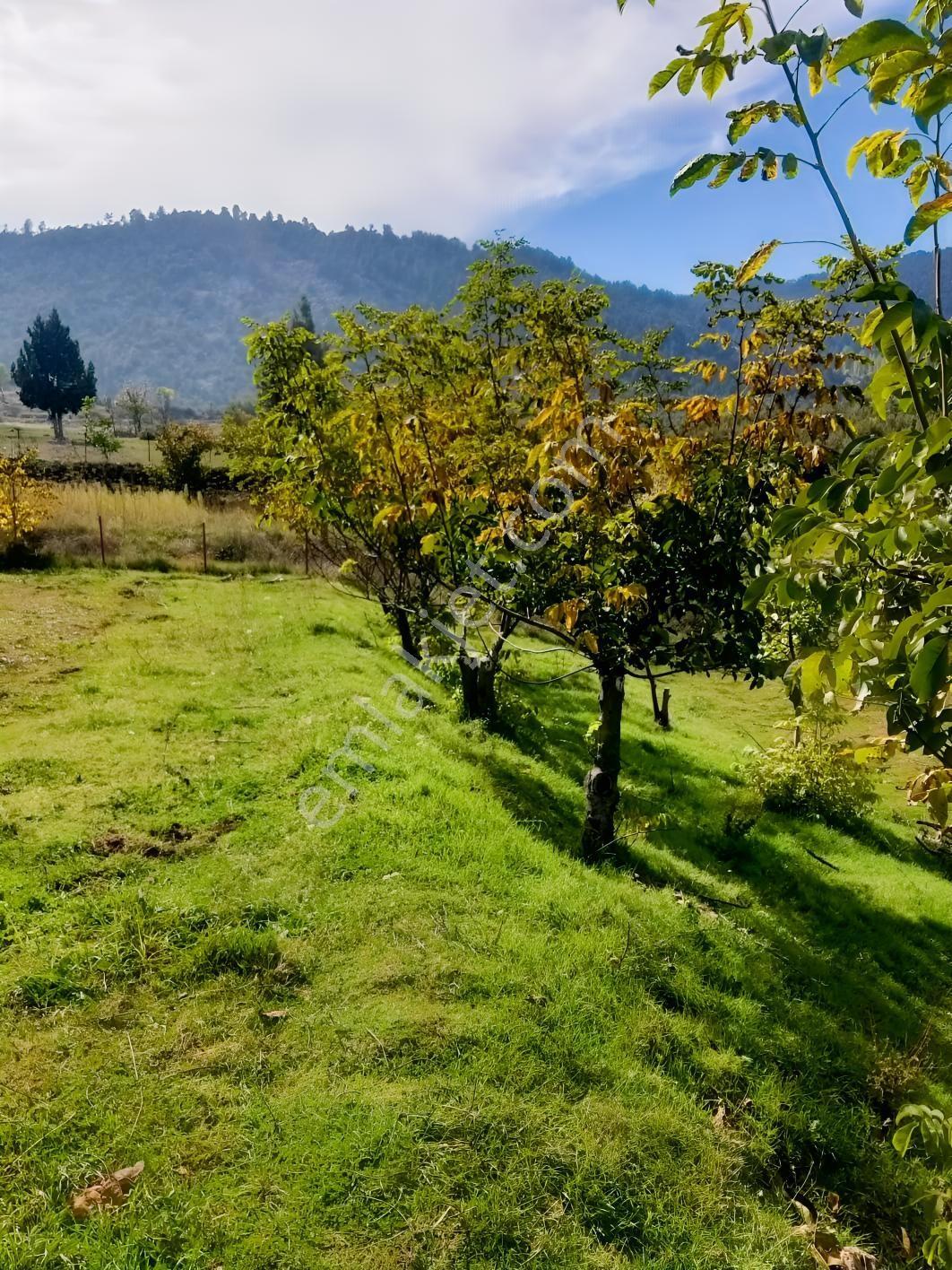 Y. Ceylan 2112 M2 Köy Yerleşik Alan İçi 250m2 İnşaat Hakkı Var — fotoğraf 26
