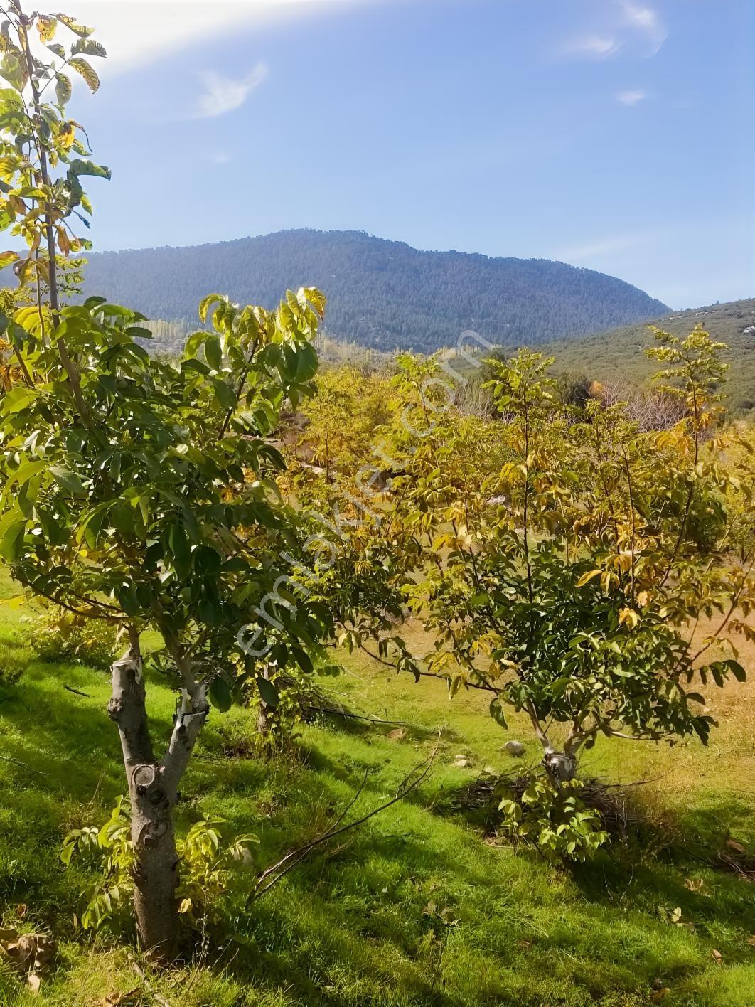 Y. Ceylan 2112 M2 Köy Yerleşik Alan İçi 250m2 İnşaat Hakkı Var — fotoğraf 27