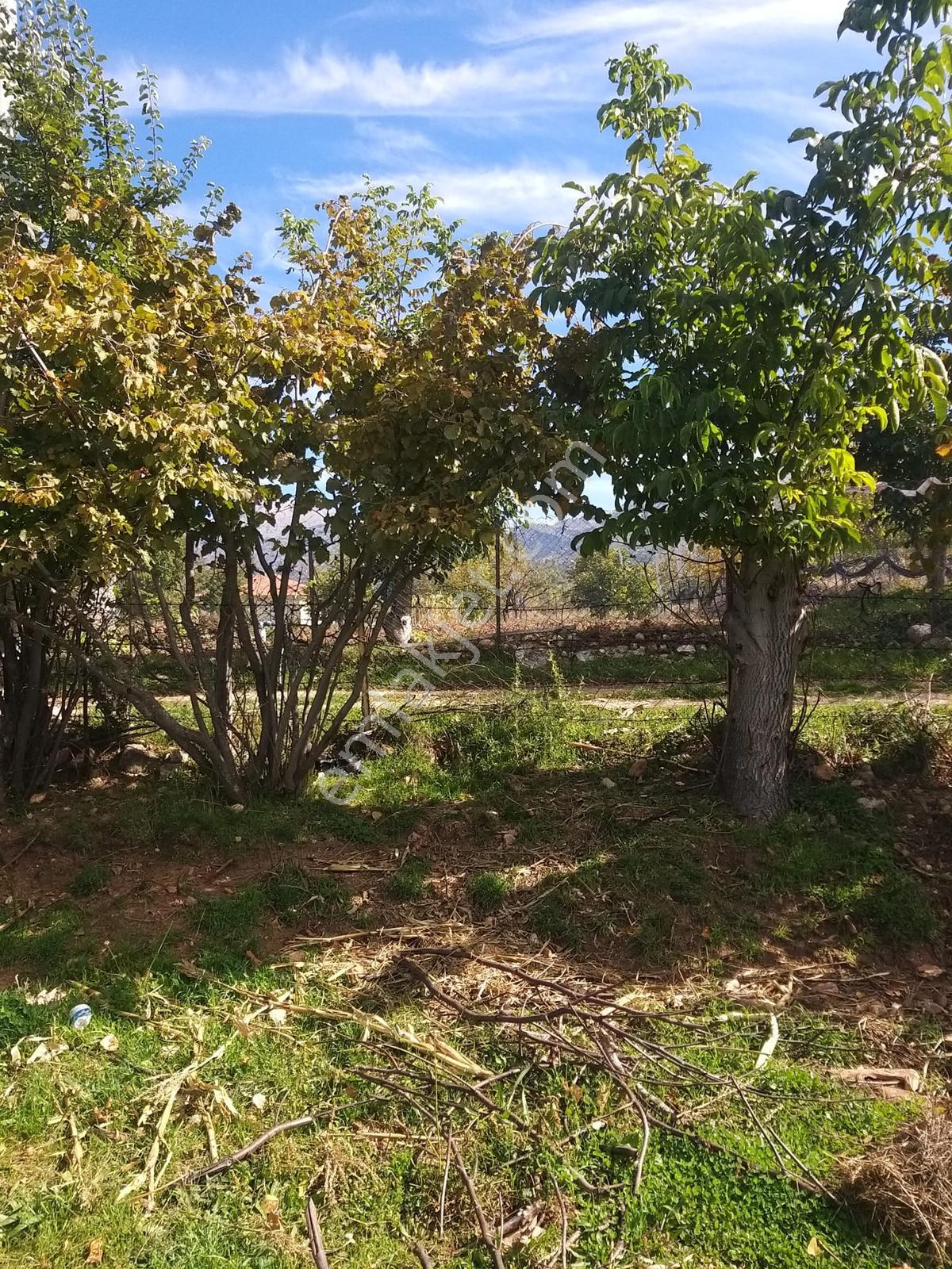 Y. Ceylan 2112 M2 Köy Yerleşik Alan İçi 250m2 İnşaat Hakkı Var — fotoğraf 33