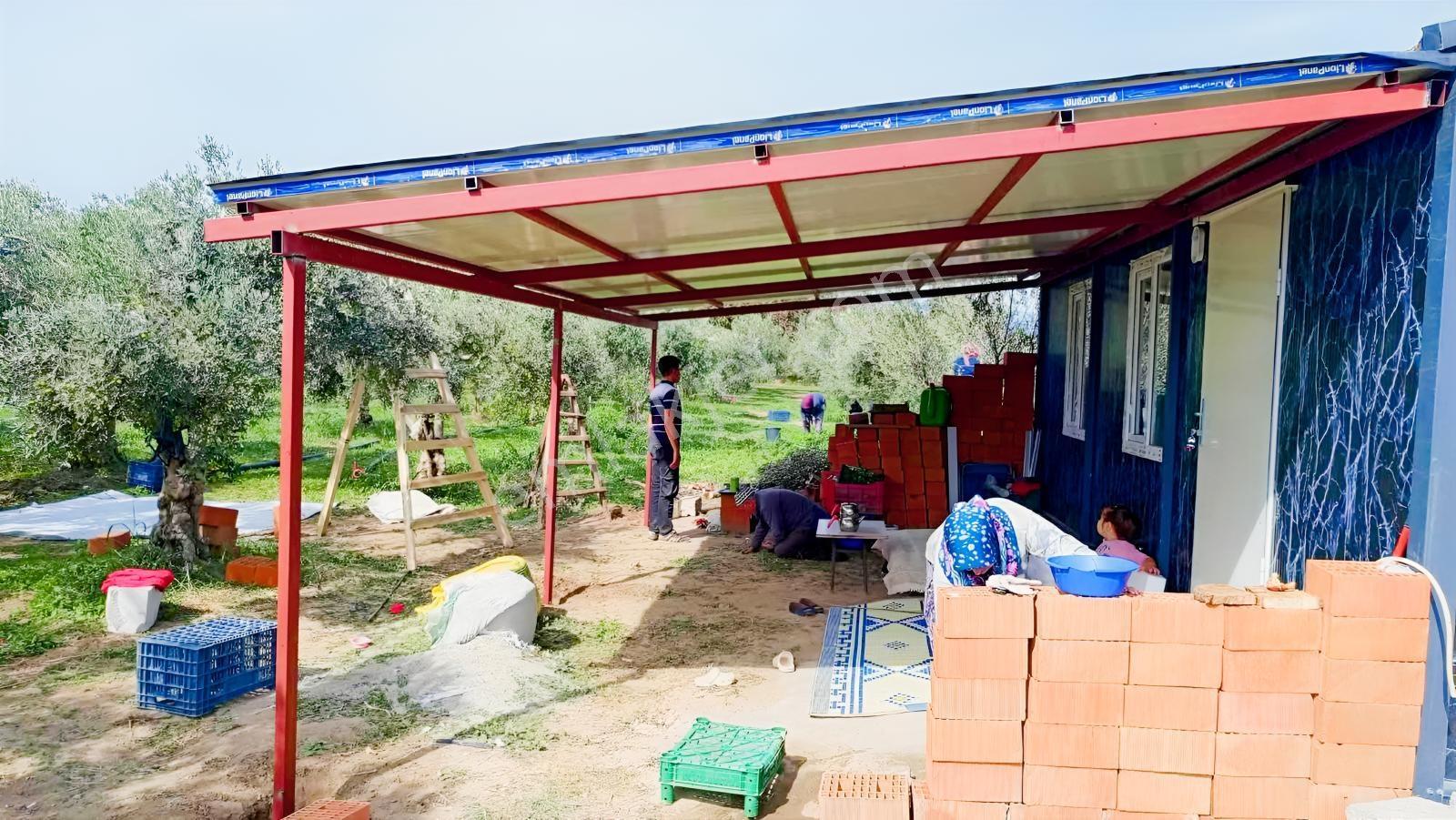 Burhaniye Kızıklı 22.049 M² 358 Zeytin Ağaçlı 4 Müstakil Tapulu — fotoğraf 6