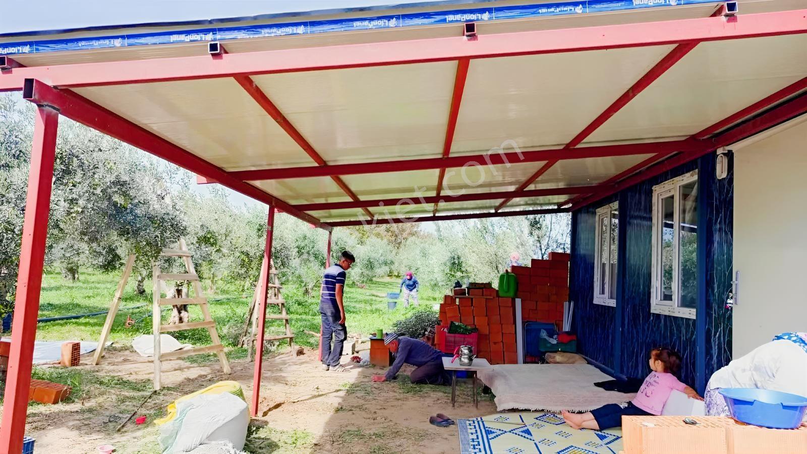 Burhaniye Kızıklı 22.049 M² 358 Zeytin Ağaçlı 4 Müstakil Tapulu — fotoğraf 7
