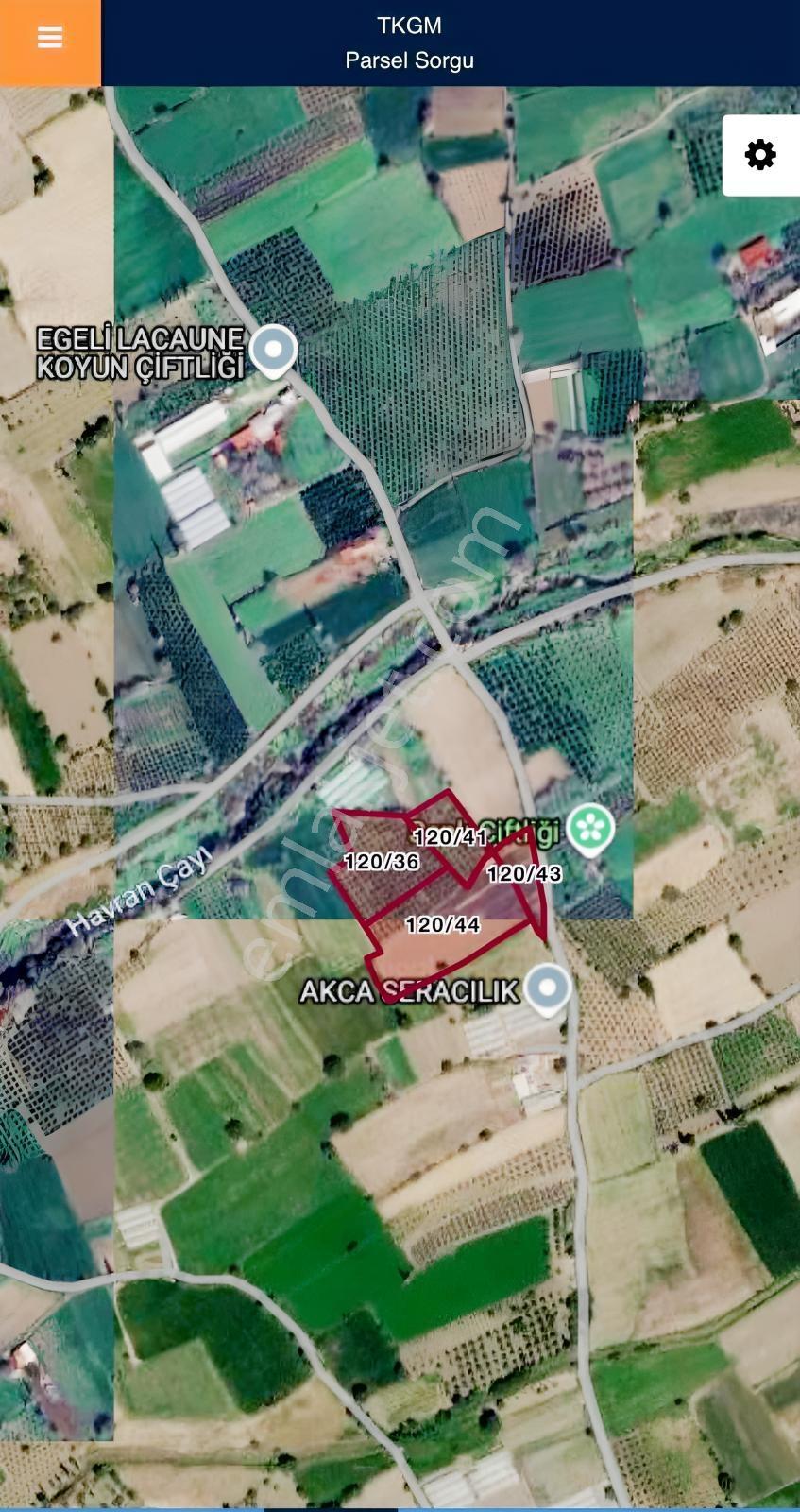 Burhaniye Kızıklı 22.049 M² 358 Zeytin Ağaçlı 4 Müstakil Tapulu — fotoğraf 19