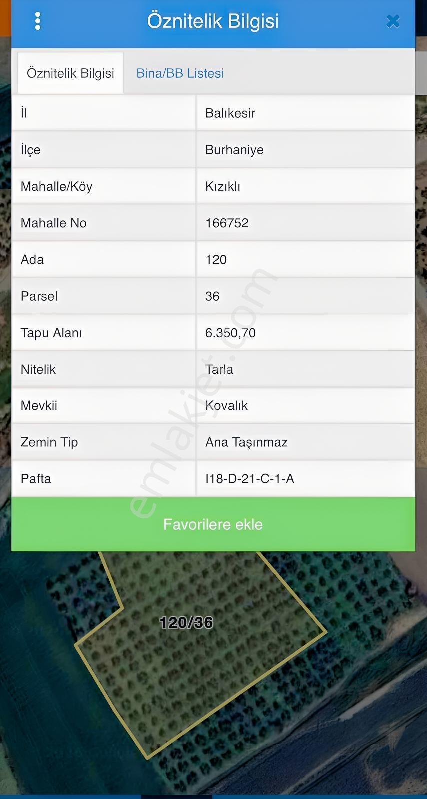Burhaniye Kızıklı 22.049 M² 358 Zeytin Ağaçlı 4 Müstakil Tapulu — fotoğraf 31