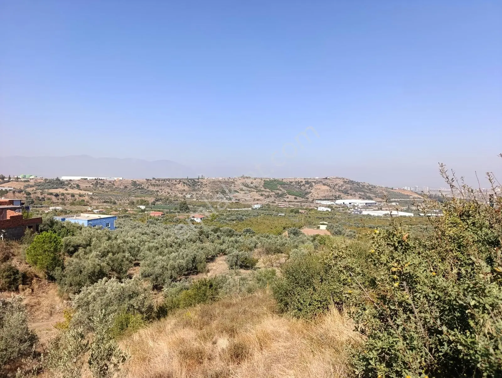 211 Turgutlu Çepnıbektaşta 4317 M² Köye Yürüme Mesafesınde
