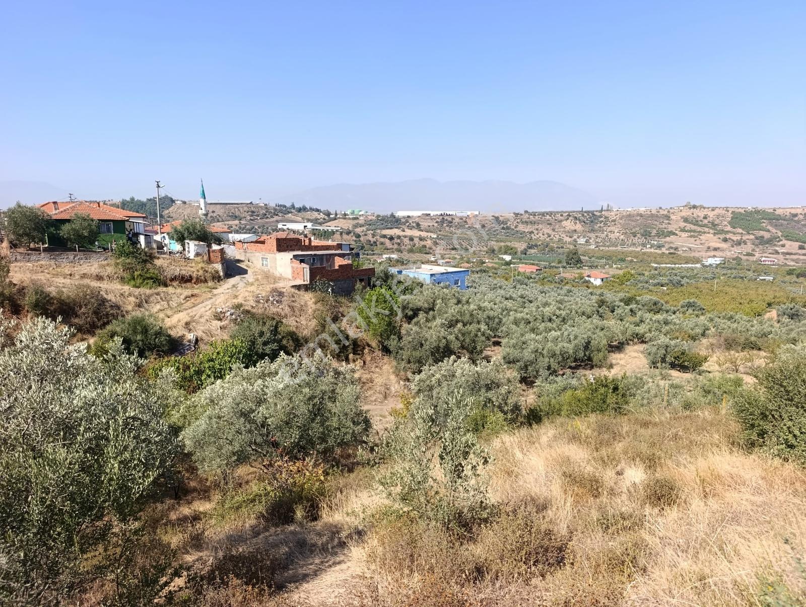 211 Turgutlu Çepnıbektaşta 4317 M² Köye Yürüme Mesafesınde — fotoğraf 2