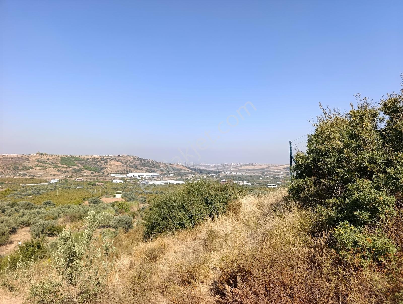 211 Turgutlu Çepnıbektaşta 4317 M² Köye Yürüme Mesafesınde — fotoğraf 3