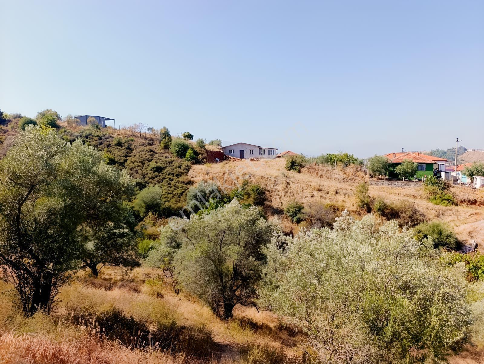 211 Turgutlu Çepnıbektaşta 4317 M² Köye Yürüme Mesafesınde — fotoğraf 4