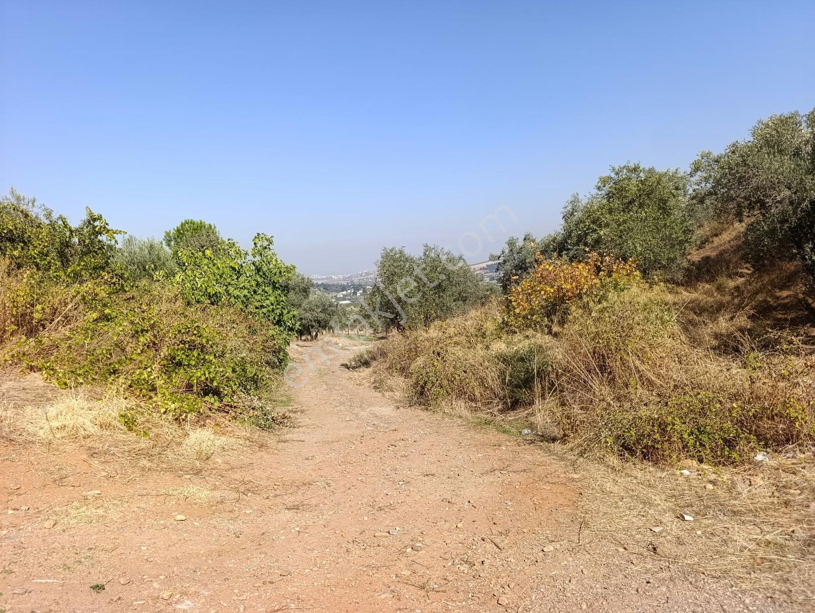 211 Turgutlu Çepnıbektaşta 4317 M² Köye Yürüme Mesafesınde — fotoğraf 8