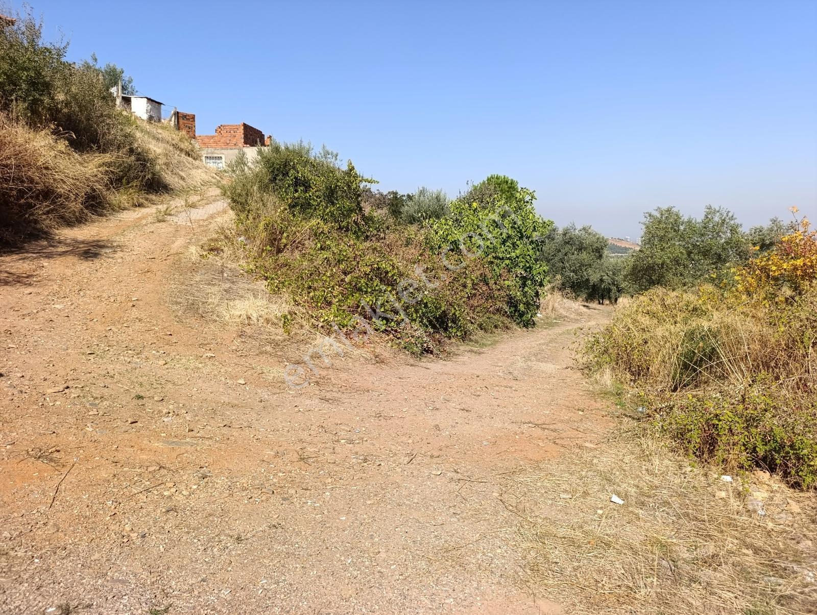 211 Turgutlu Çepnıbektaşta 4317 M² Köye Yürüme Mesafesınde — fotoğraf 10