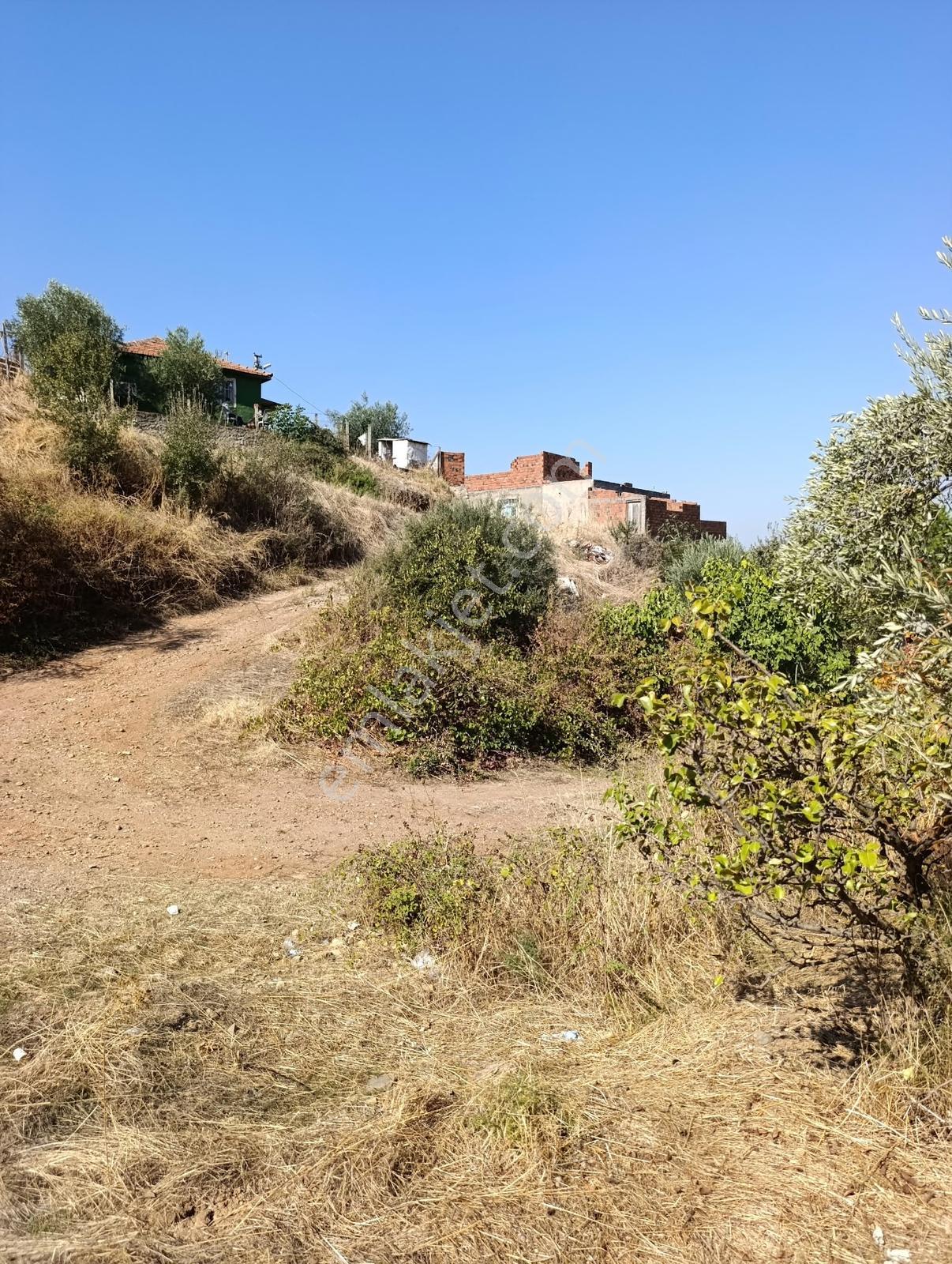 211 Turgutlu Çepnıbektaşta 4317 M² Köye Yürüme Mesafesınde — fotoğraf 11