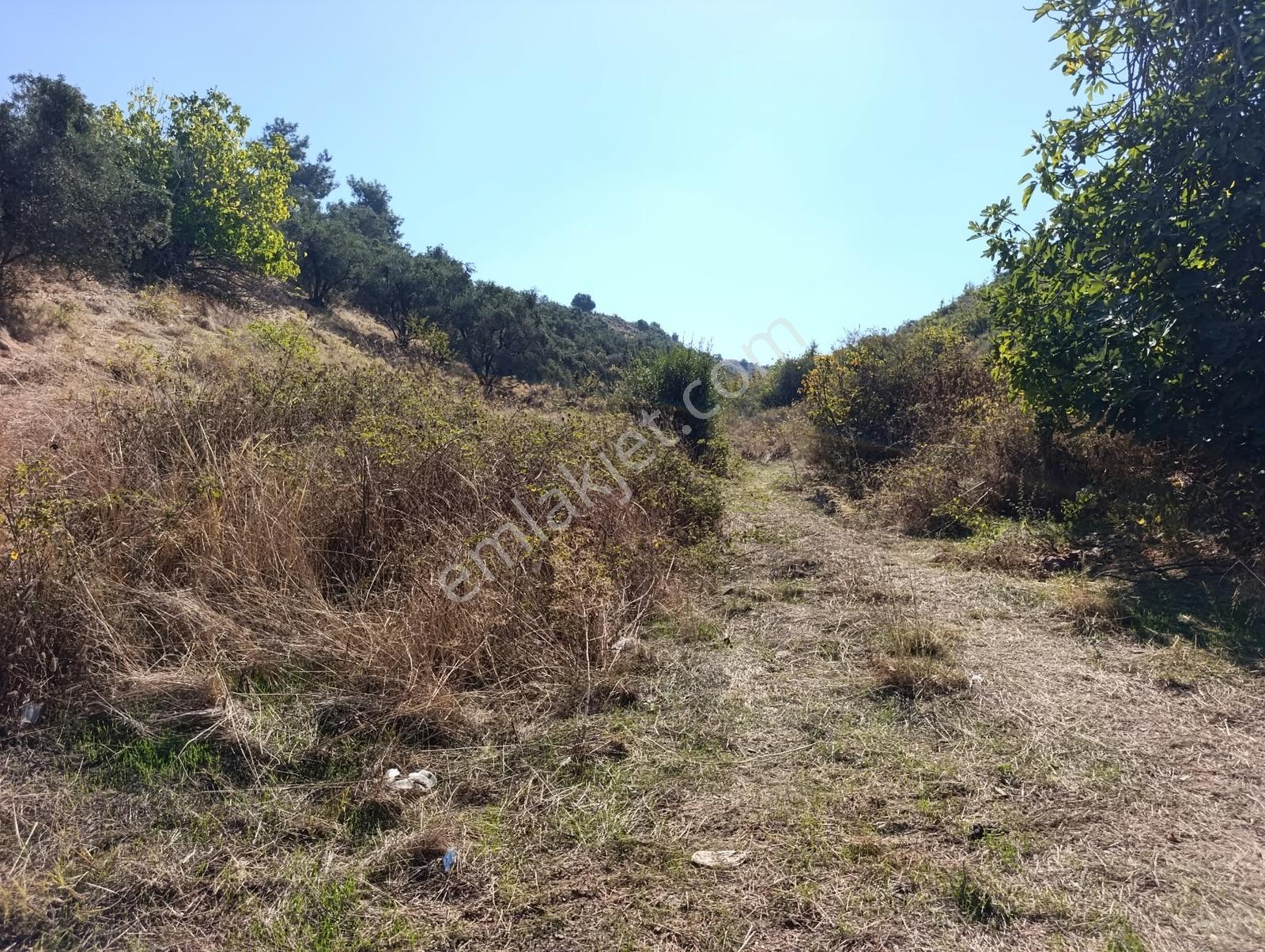 211 Turgutlu Çepnıbektaşta 4317 M² Köye Yürüme Mesafesınde — fotoğraf 14