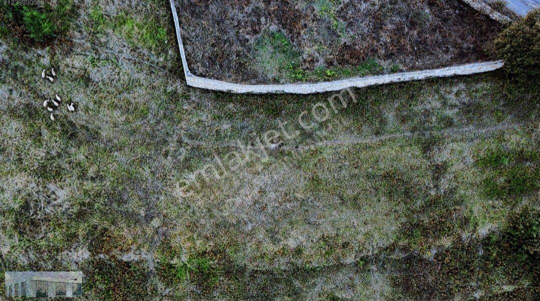 Kısalarda Fırsat! 3.200 M² İmarlı, Altyapılı Ve Yola Cephe — fotoğraf 2