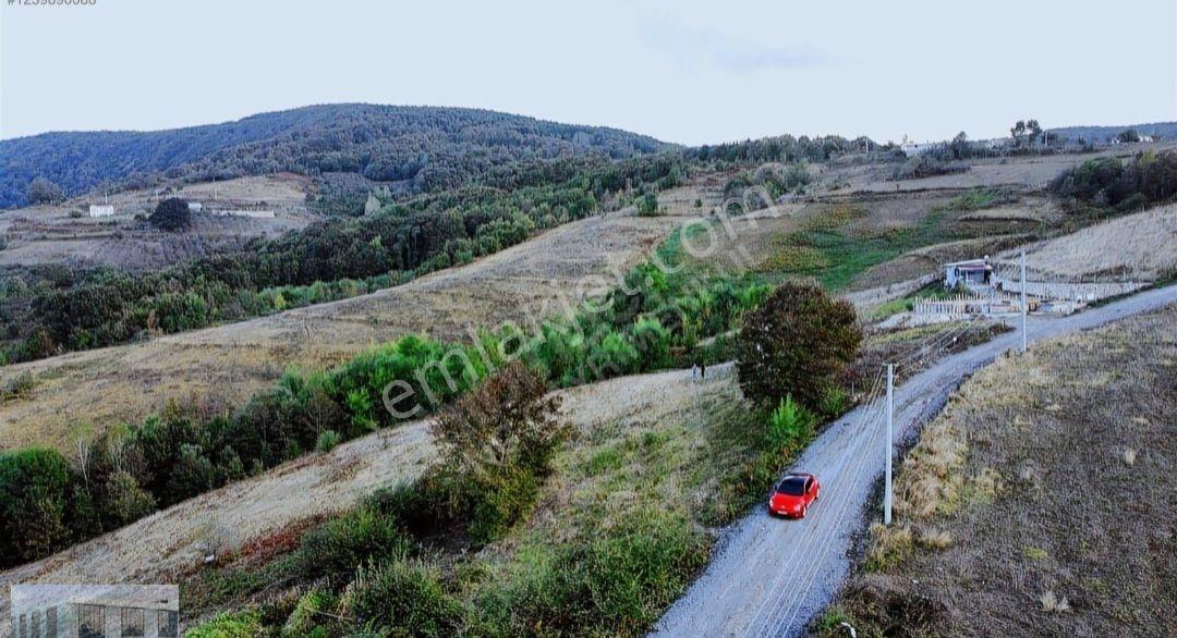 Kısalarda Fırsat! 3.200 M² İmarlı, Altyapılı Ve Yola Cephe — fotoğraf 4