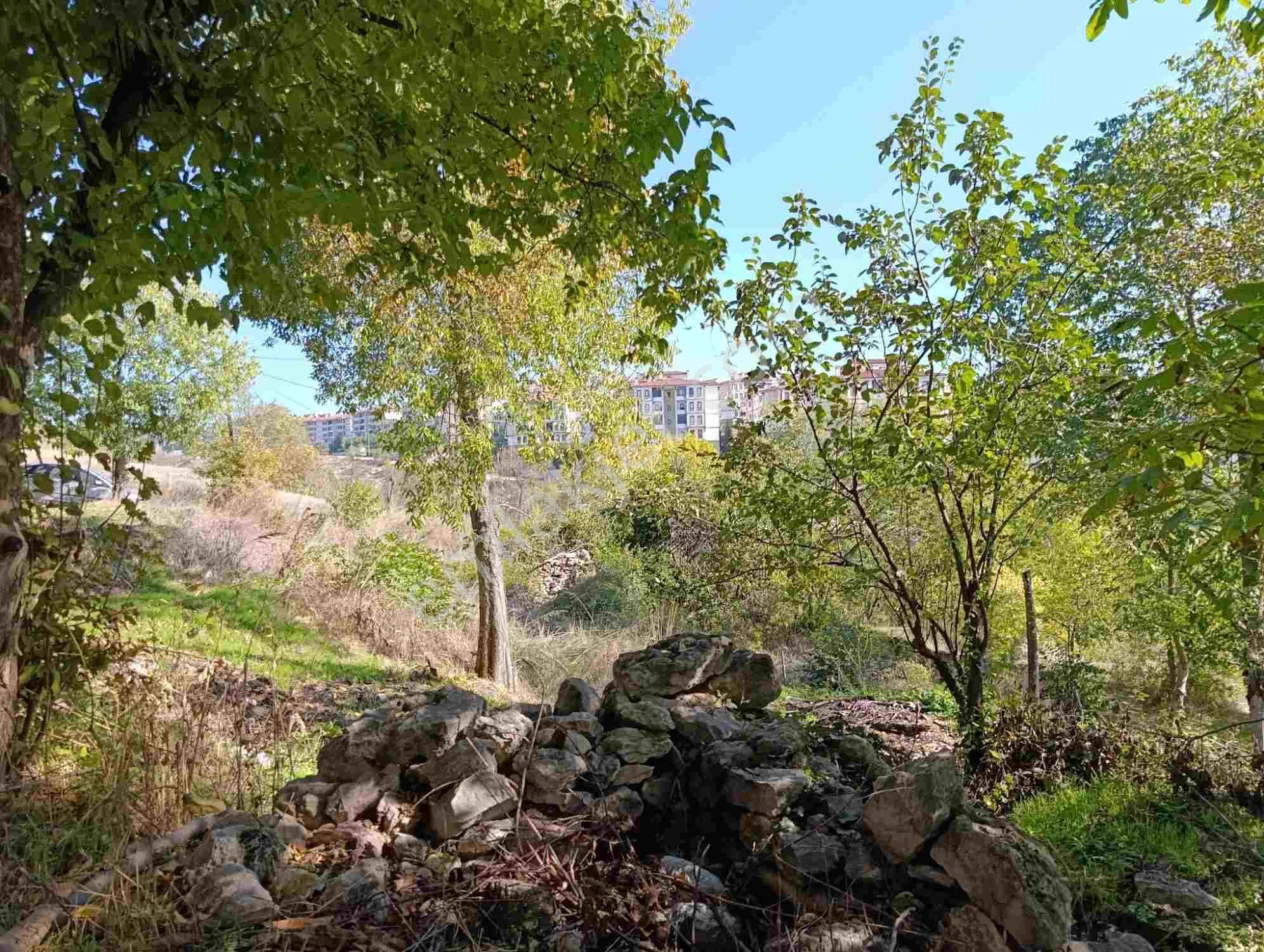 Safranbolu Kirkille Toki Karşısı Satılık 3.153 M2 İmarlı Arsa — fotoğraf 8
