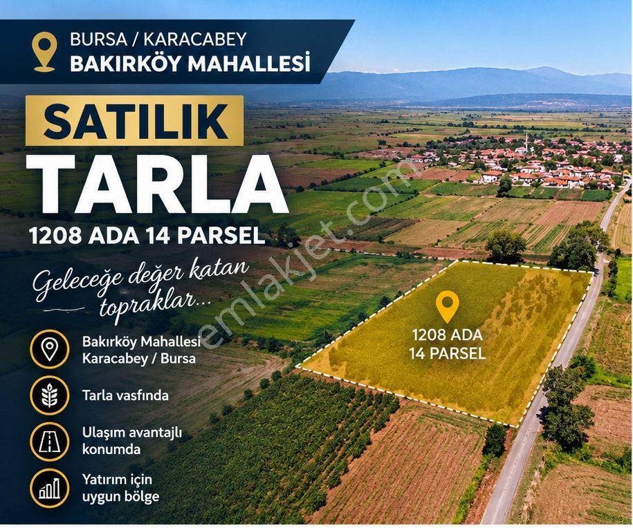 My Ekipdenbursa Karacabey Bakırköy De Fırsat Arazi Yola Cephe Düz Arazi Verimlitoprak Sulama Kanalı — fotoğraf 4
