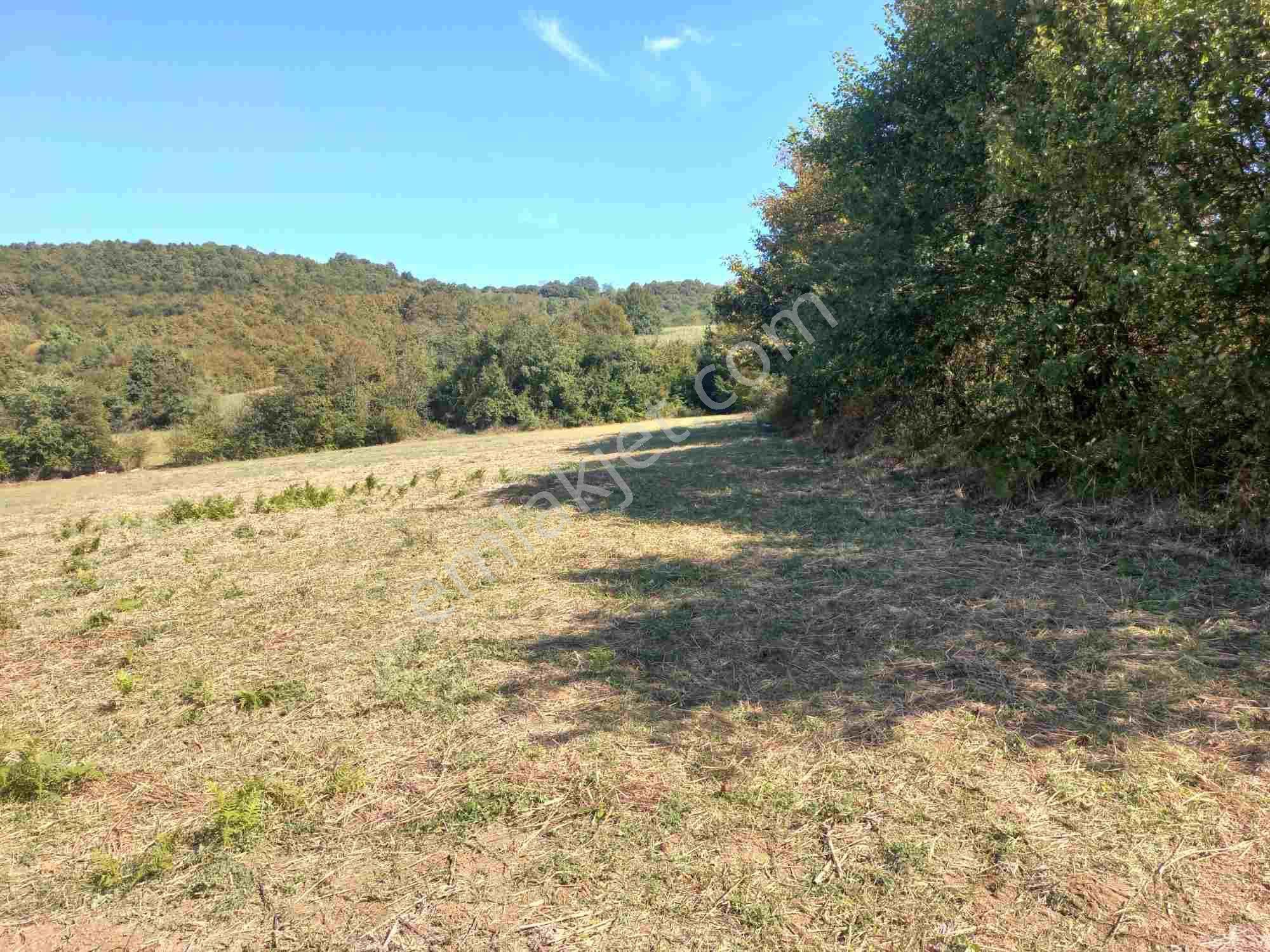Kocaeli Kandıra Dalca Köyü Satılık 7.062 M2 Müstakil Tapulu — fotoğraf 2