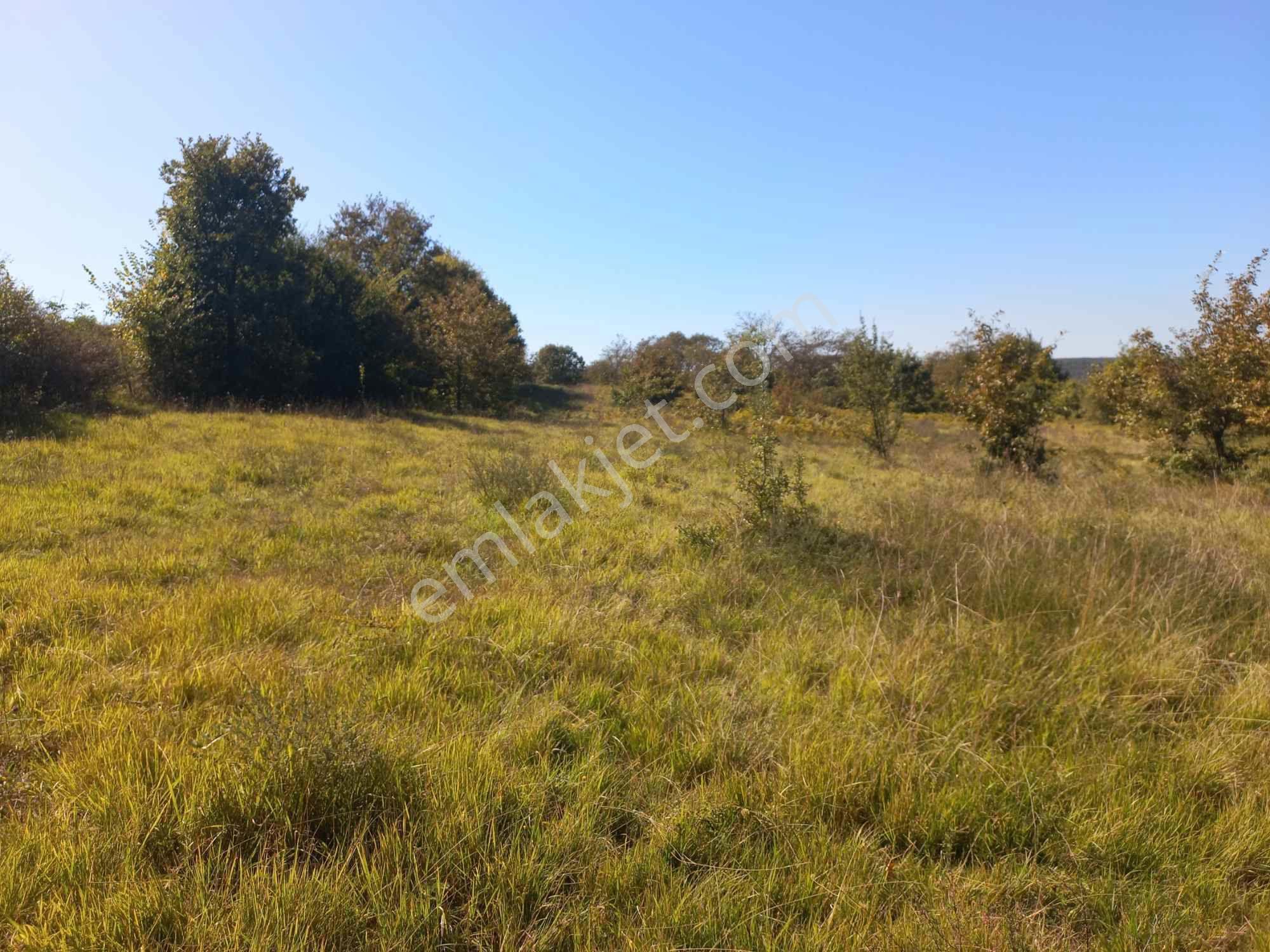 Kocaeli Kandıra Dalca Köyü Satılık 7.062 M2 Müstakil Tapulu — fotoğraf 5