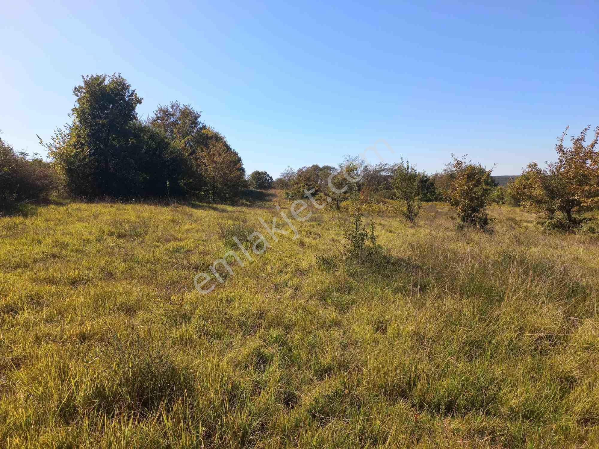 Kocaeli Kandıra Dalca Köyü Satılık 7.062 M2 Müstakil Tapulu — fotoğraf 6