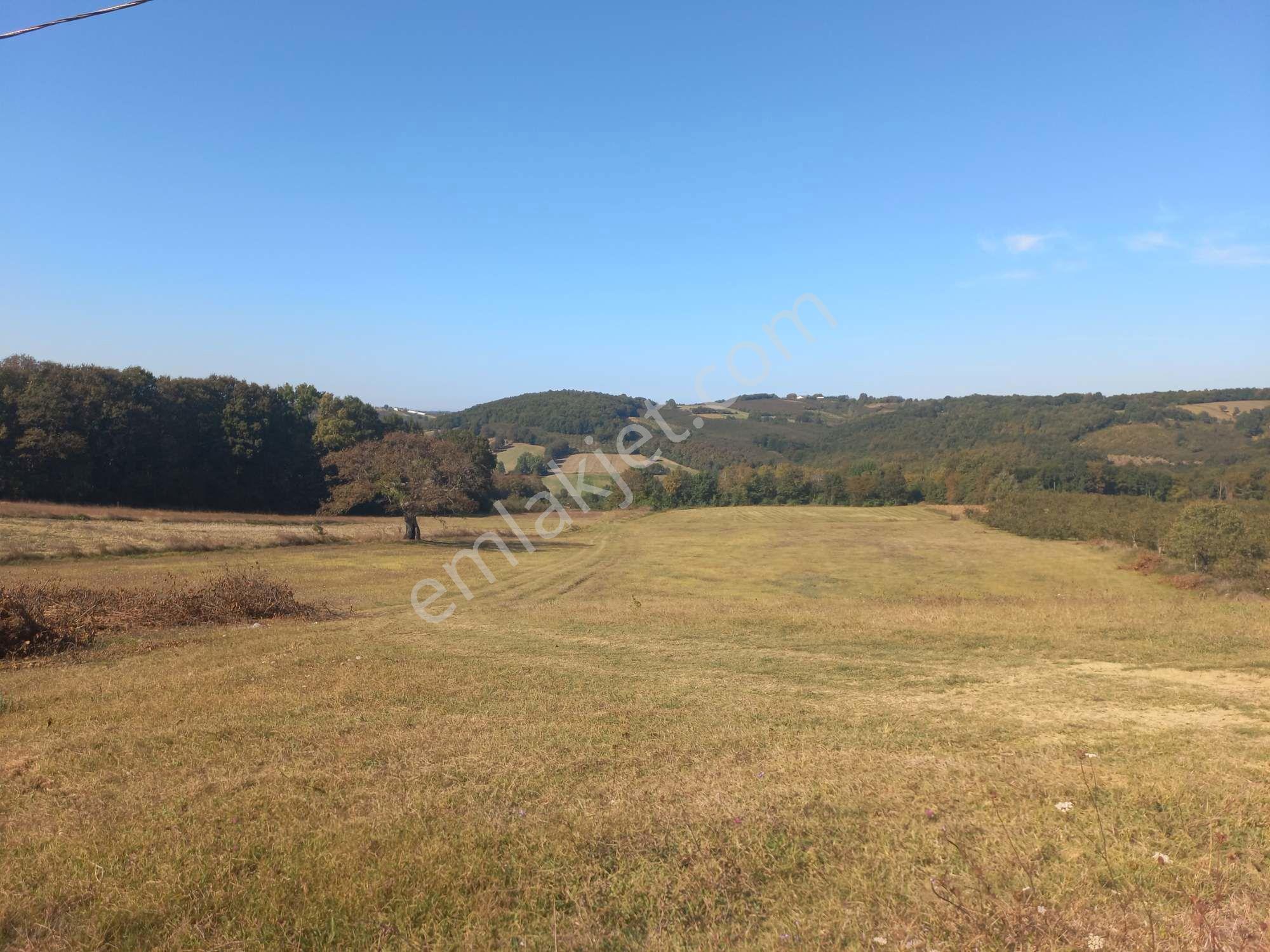 Kocaeli Kandıra Dalca Köyü Satılık 7.062 M2 Müstakil Tapulu — fotoğraf 7