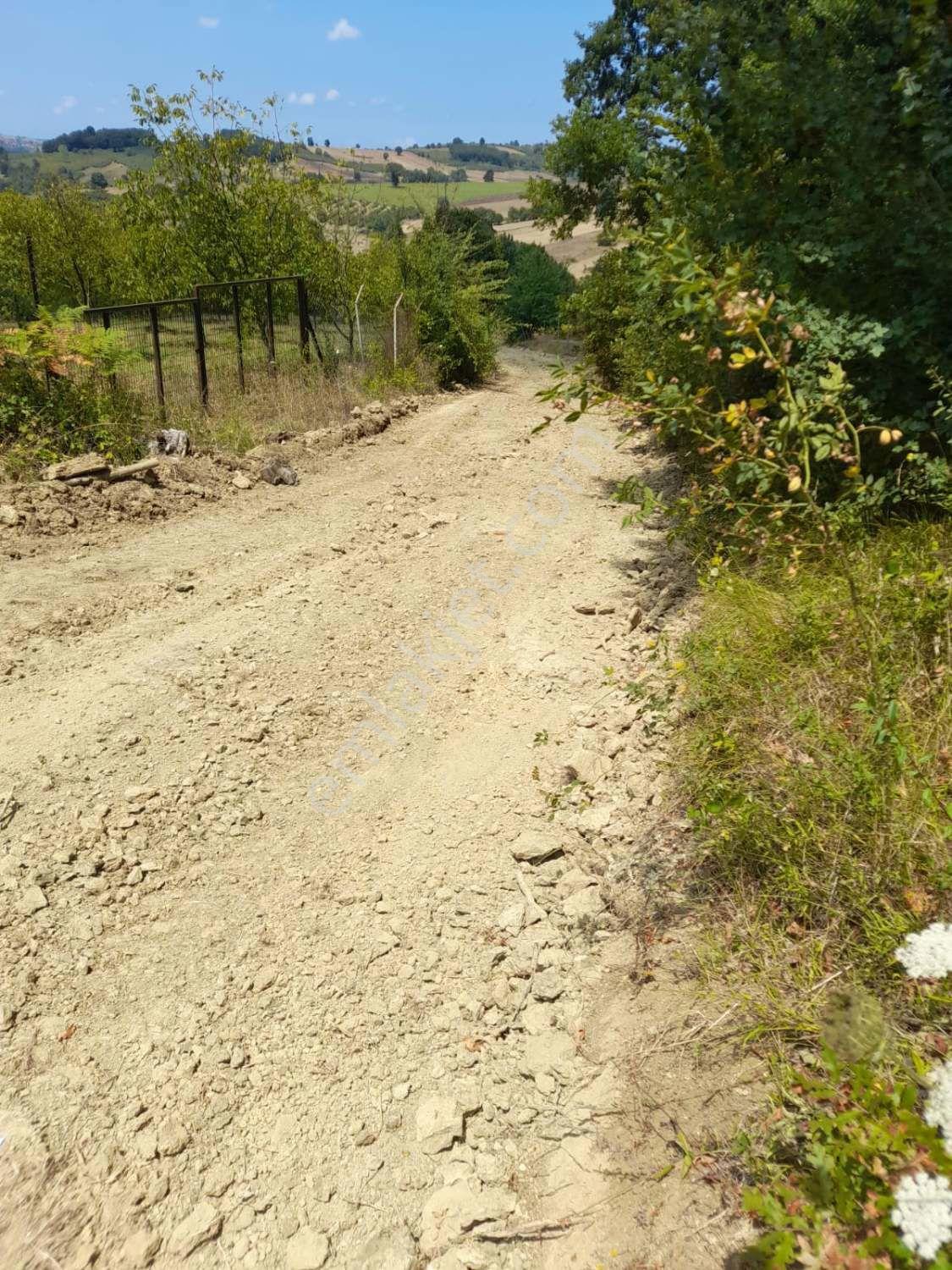 Kocaeli Kandıra Dalca Köyü Satılık 7.062 M2 Müstakil Tapulu — fotoğraf 9