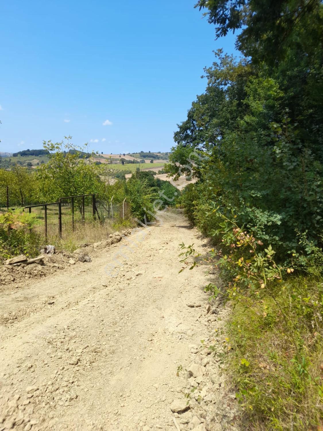 Kocaeli Kandıra Dalca Köyü Satılık 7.062 M2 Müstakil Tapulu — fotoğraf 10