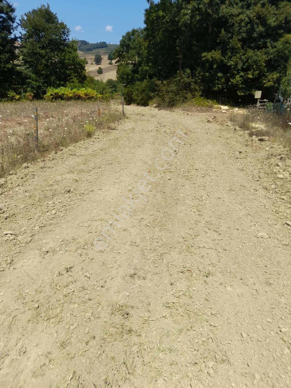 Kocaeli Kandıra Dalca Köyü Satılık 7.062 M2 Müstakil Tapulu — fotoğraf 11