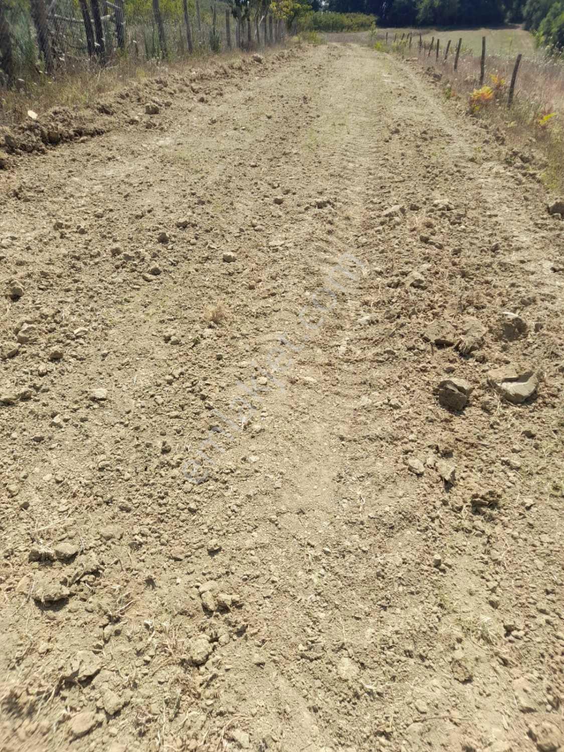 Kocaeli Kandıra Dalca Köyü Satılık 7.062 M2 Müstakil Tapulu — fotoğraf 12