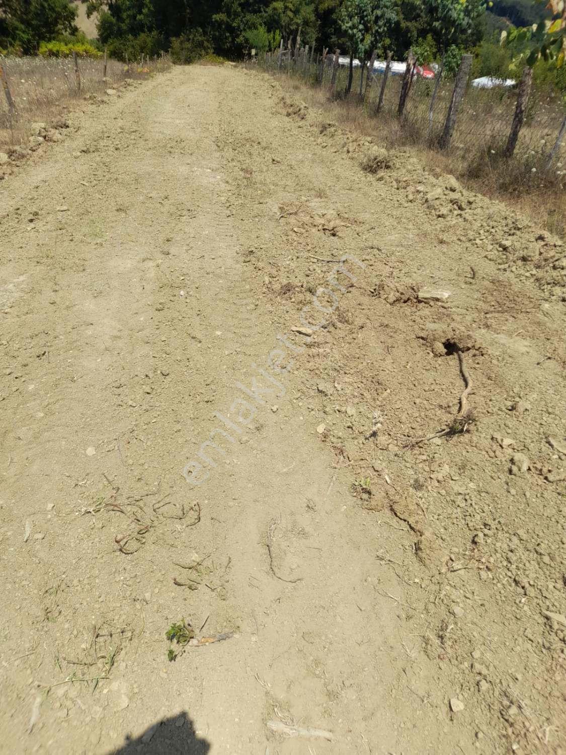 Kocaeli Kandıra Dalca Köyü Satılık 7.062 M2 Müstakil Tapulu — fotoğraf 13