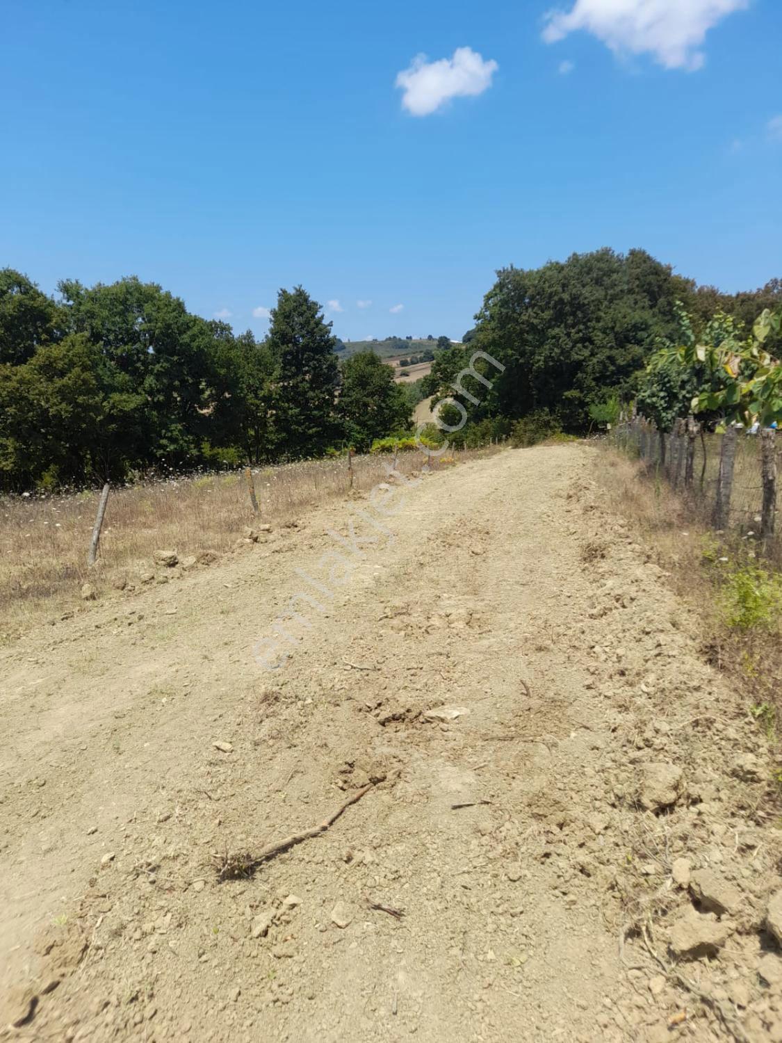 Kocaeli Kandıra Dalca Köyü Satılık 7.062 M2 Müstakil Tapulu — fotoğraf 14