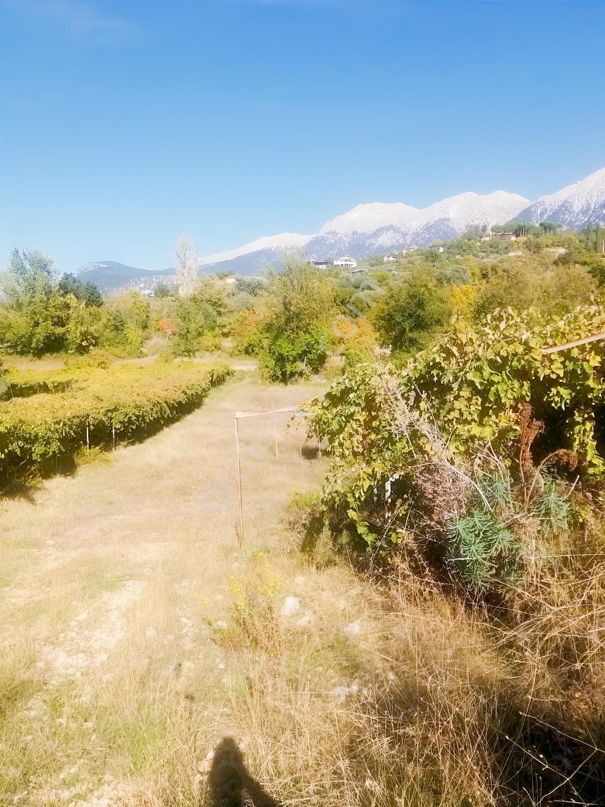 Arsa Mh 7935 M2tek Tapu Arazi — fotoğraf 4